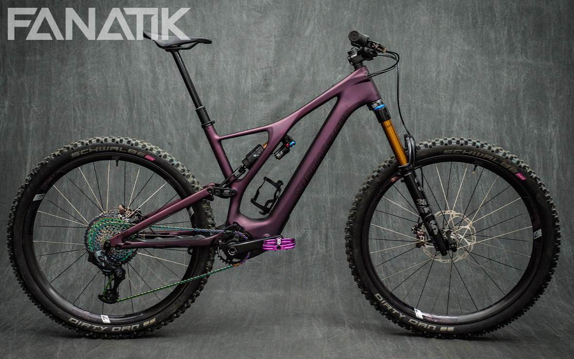 Specialized Turbo Levo SL