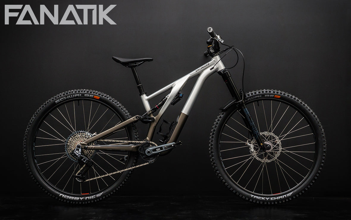 Specialized Stumpjumper EVO Alloy