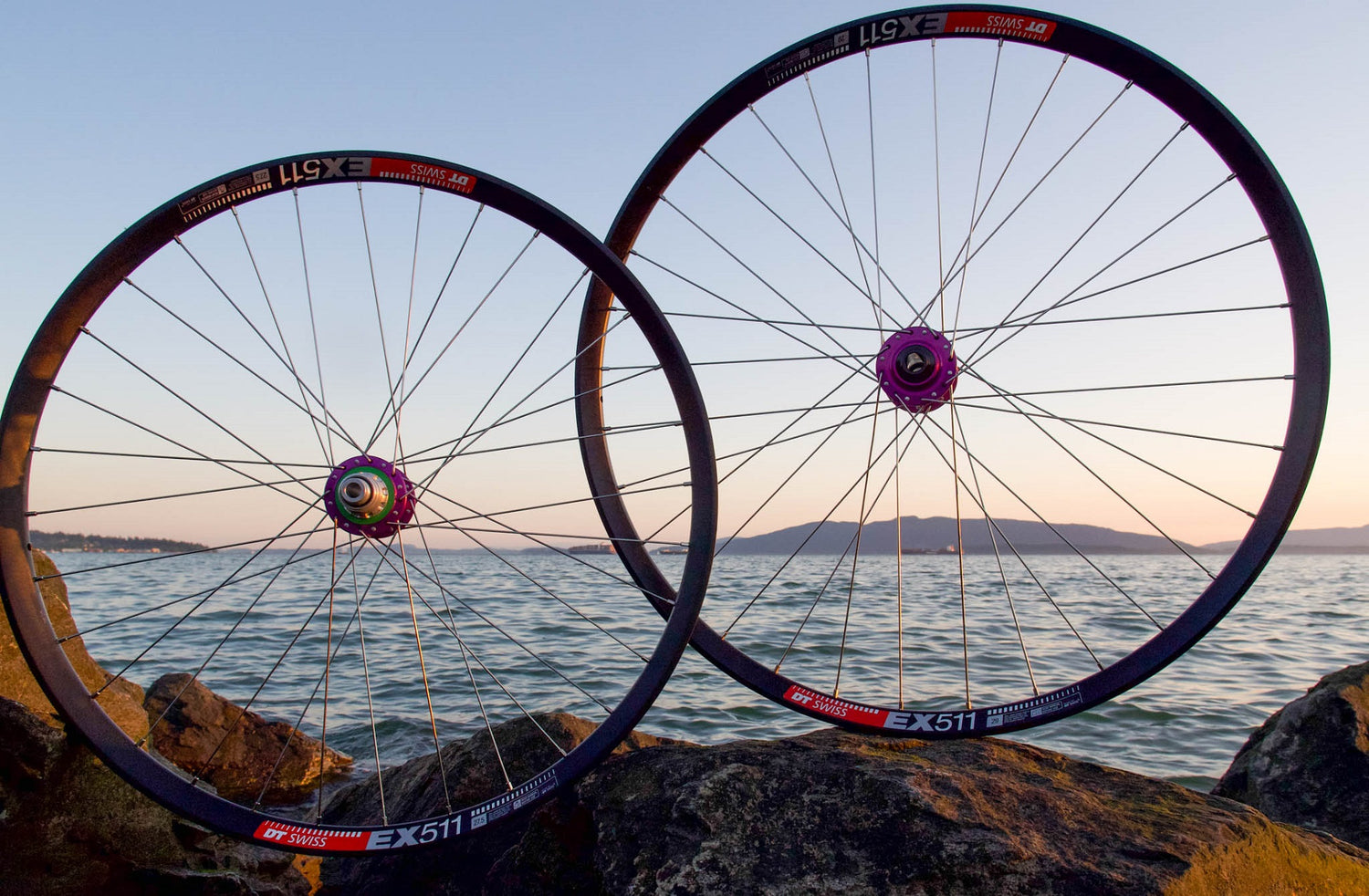 Fanatik Custom Wheel Builder // Best Performance VS Cost Build