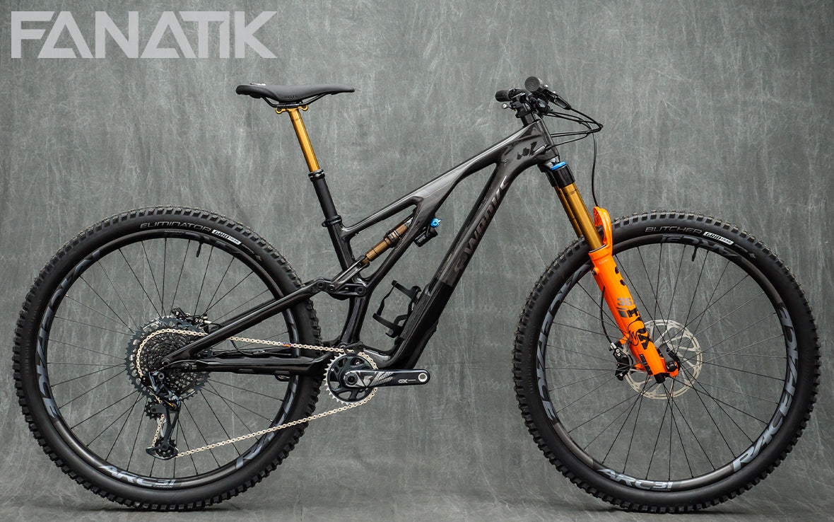 Specialized Stumpjumper EVO