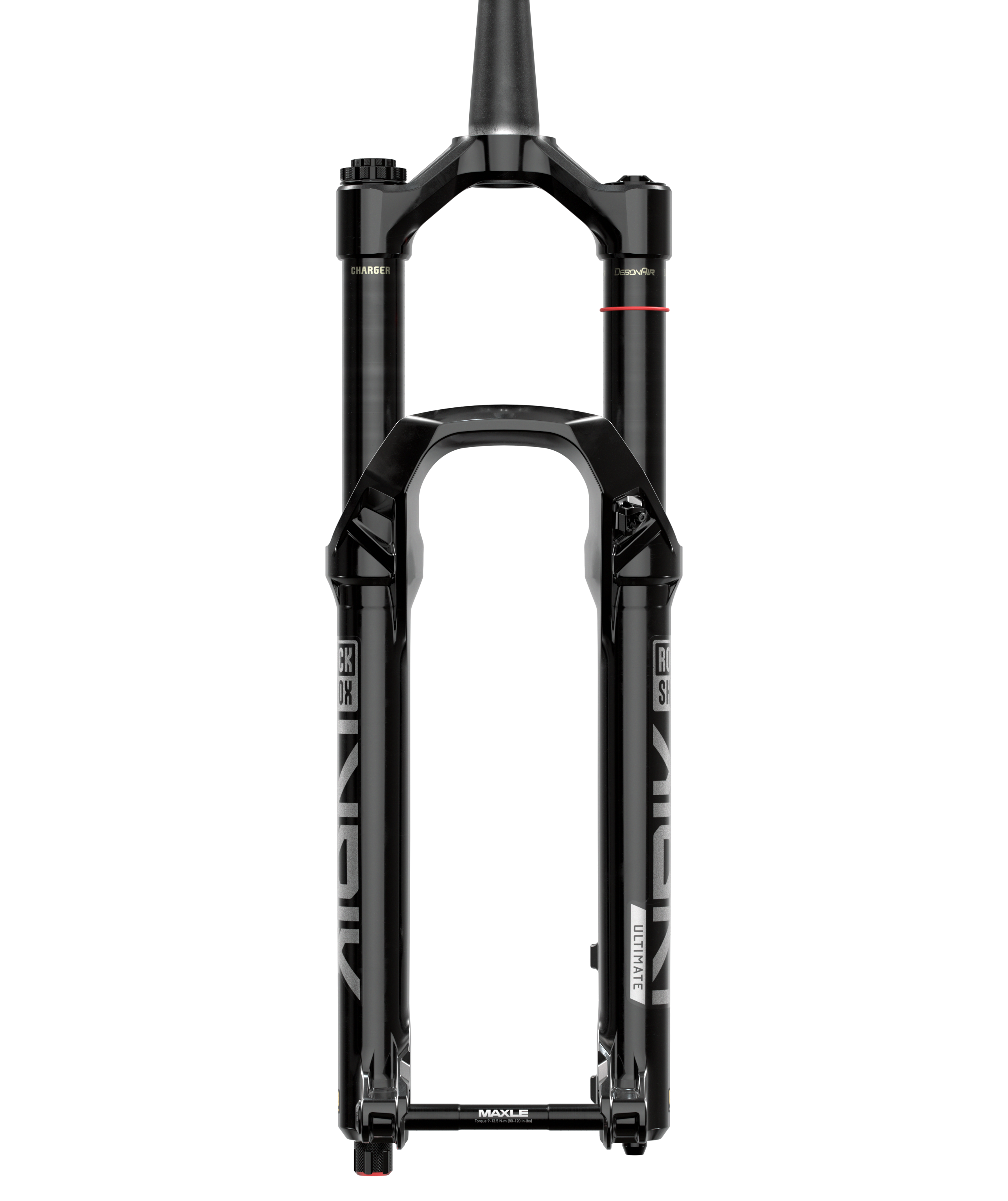 Lyrik Ultimate 29" Charger 3.1 RC2 - 44mm Offset - 2025