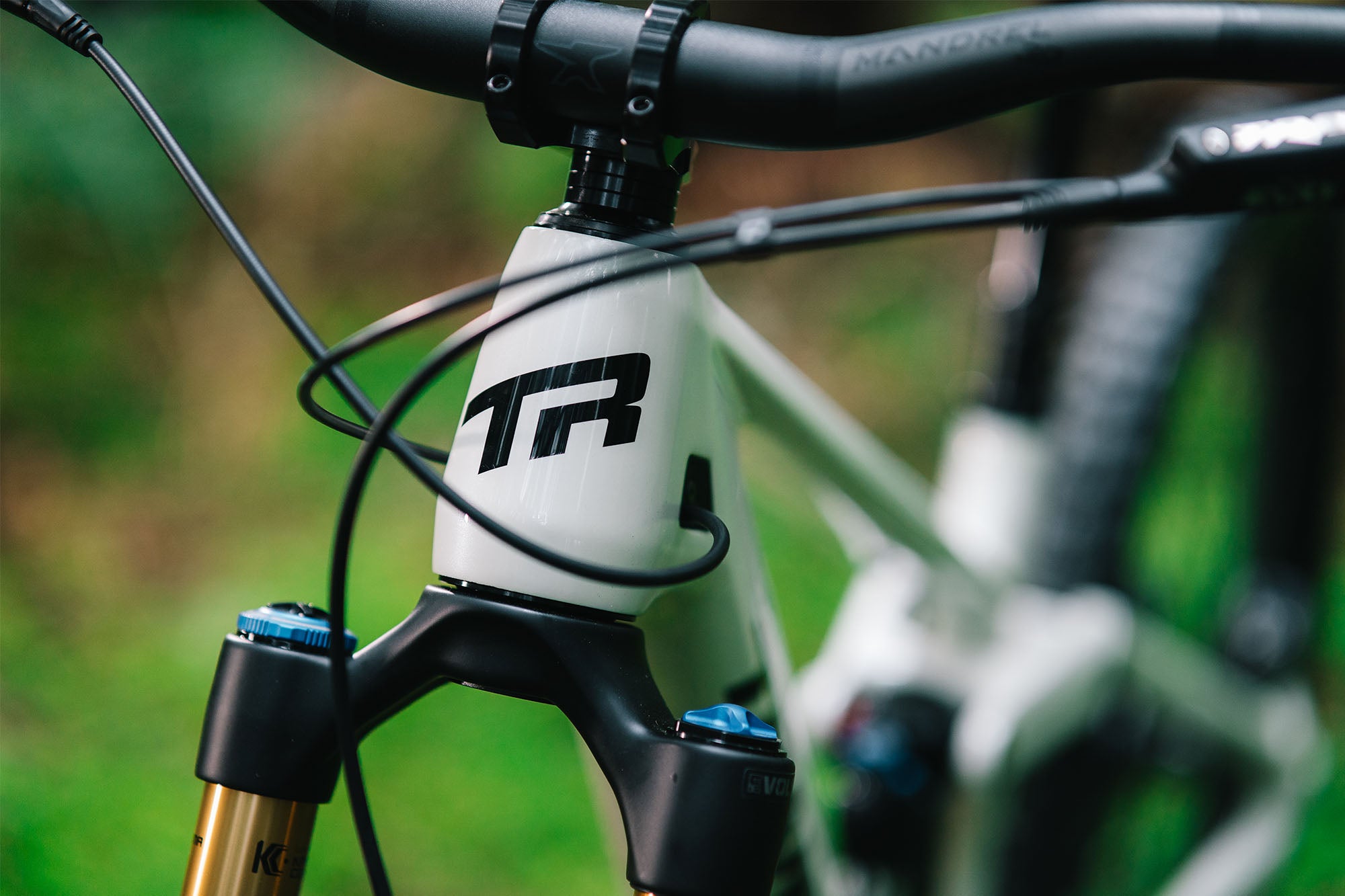 Sentinel Carbon Frame - 2025