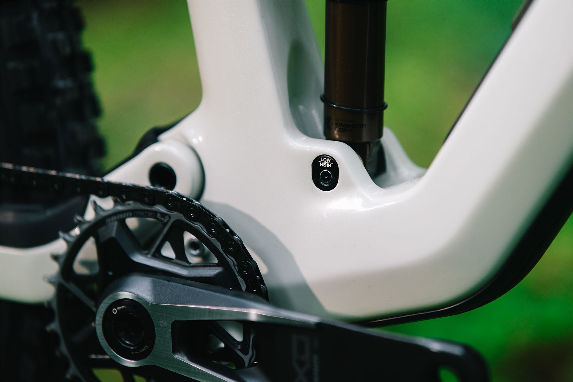 Sentinel Carbon Frame - 2025