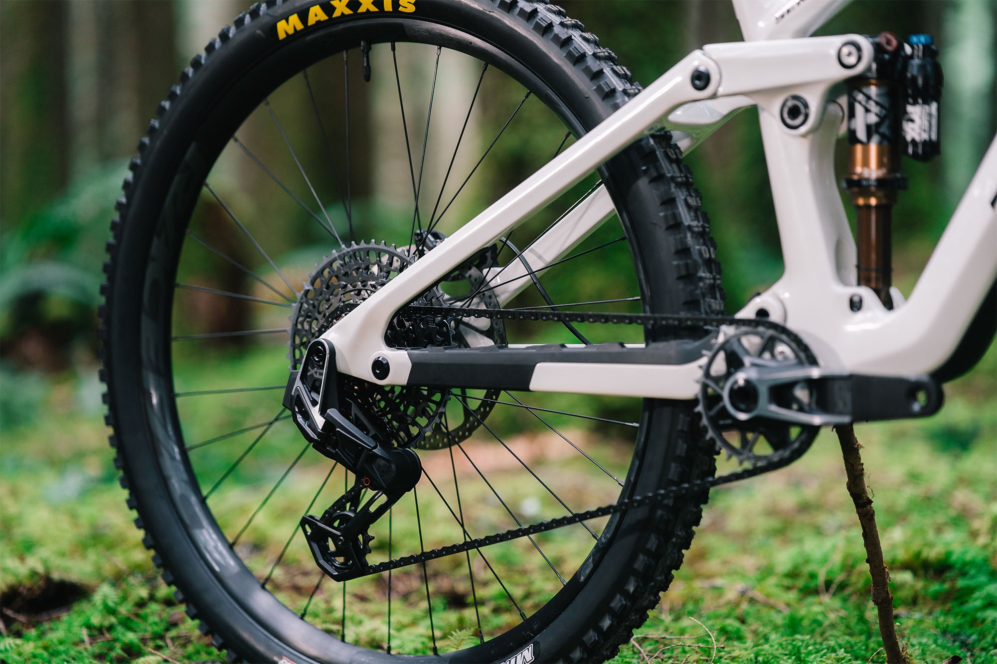 Sentinel Carbon Frame - 2025