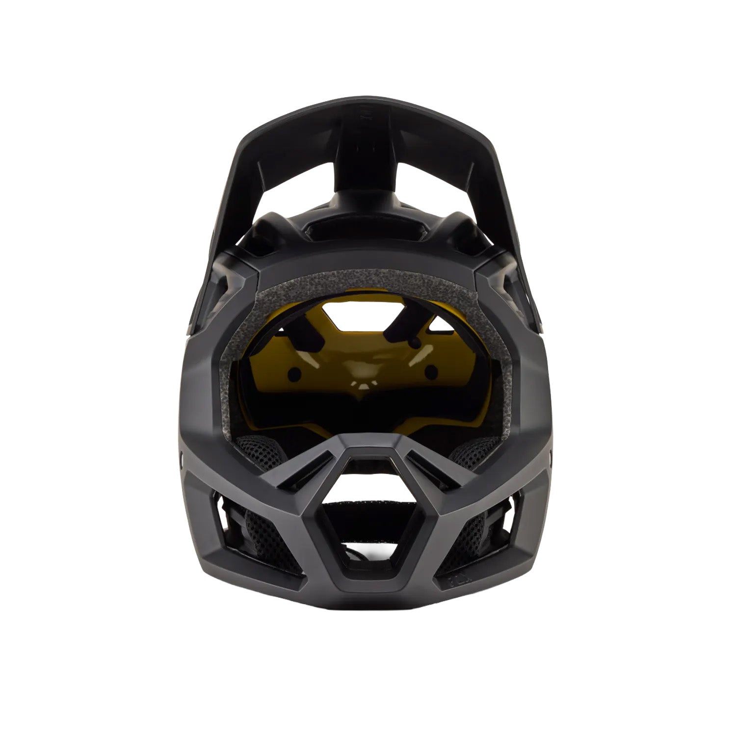 Proframe Helmet