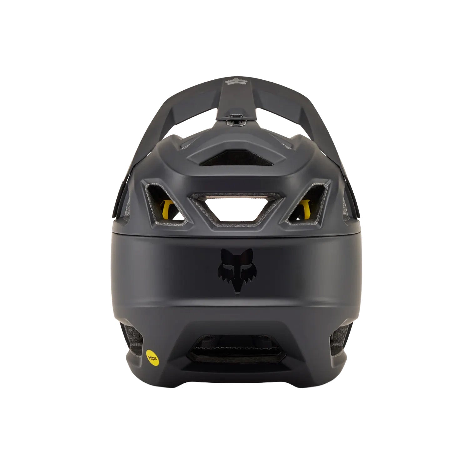 Proframe Helmet