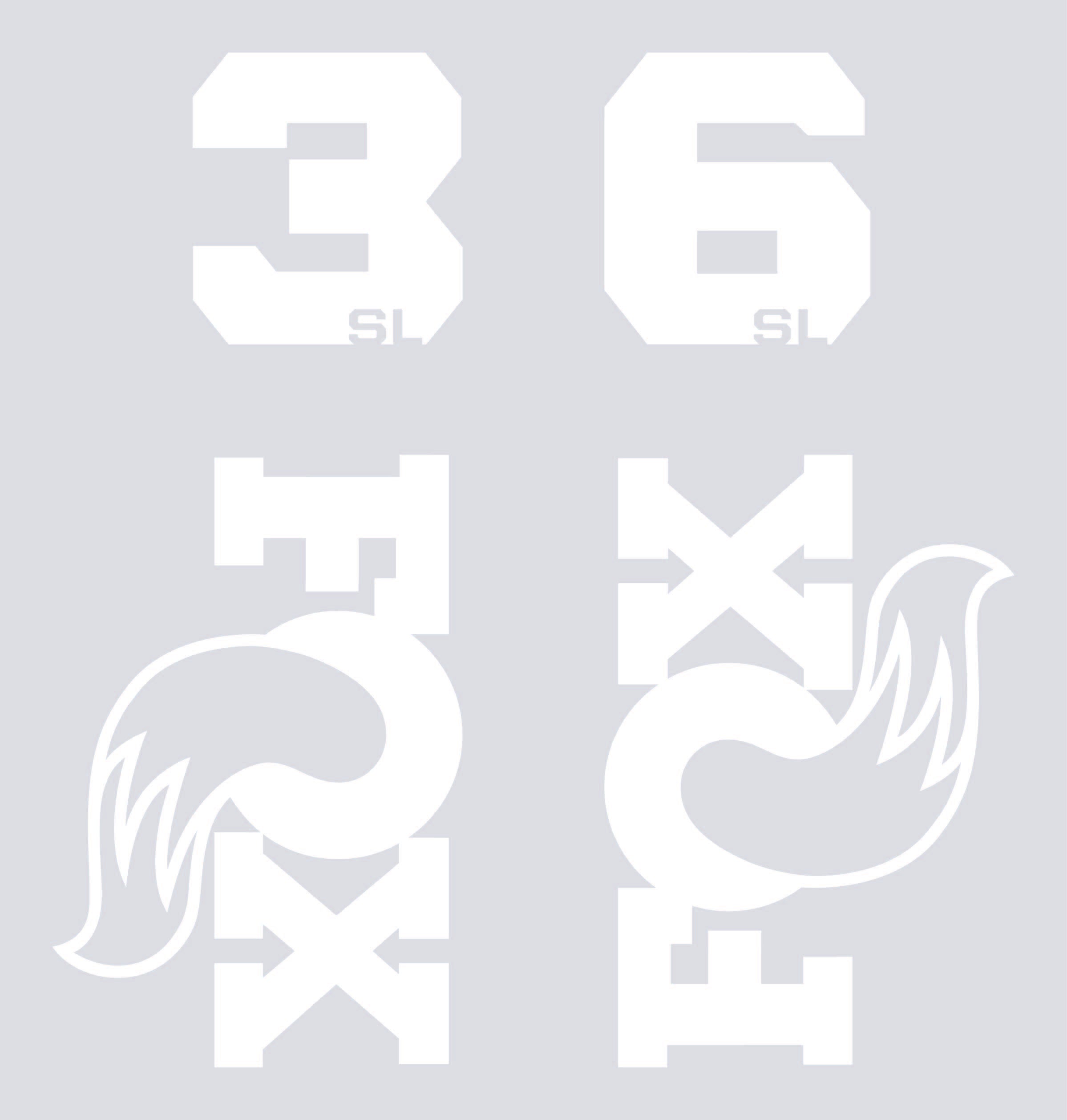 Fox 36SL Die Cut Decal Kit - MY2026