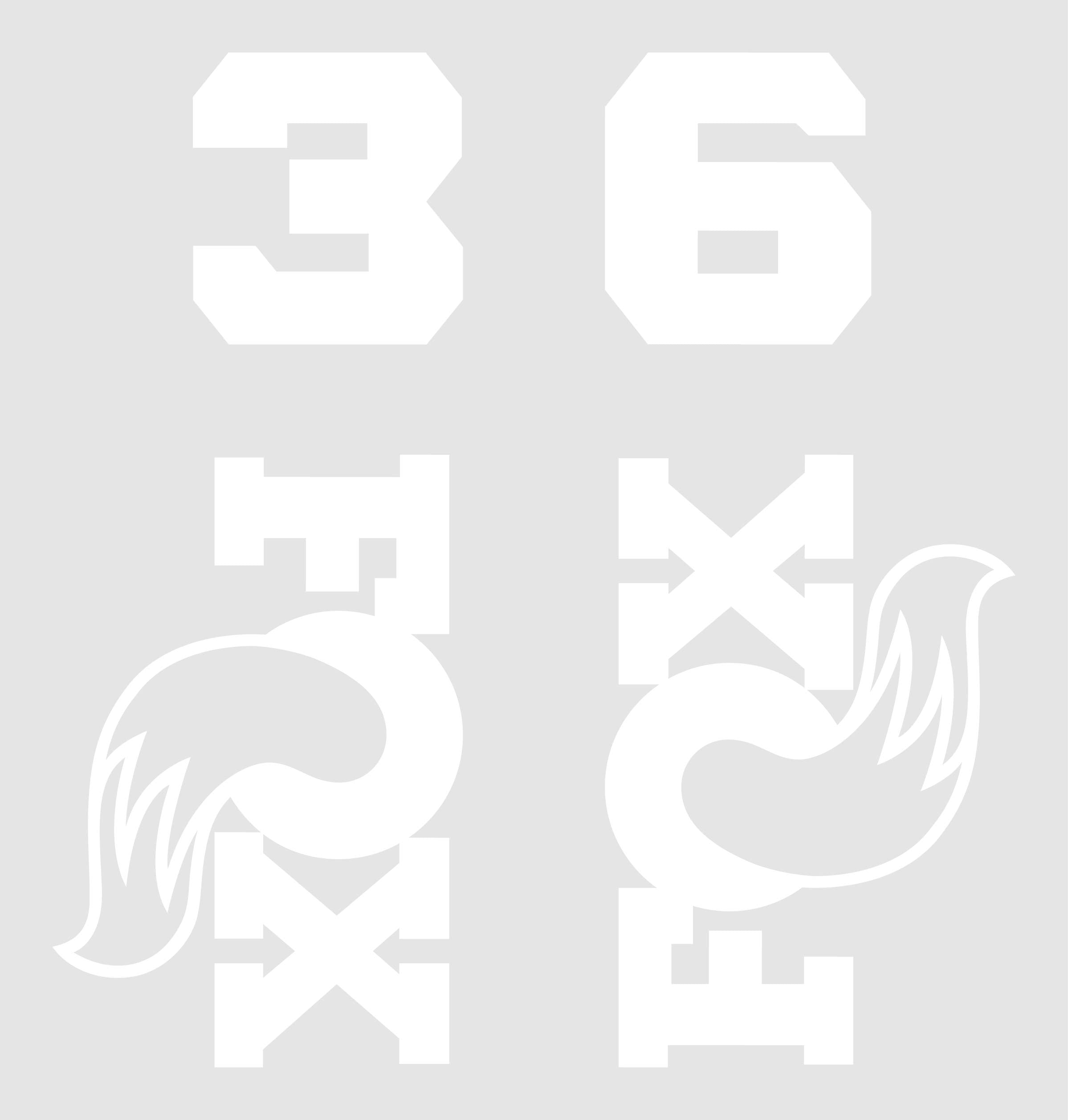 Fox 36 Die Cut Decal Kit - MY2026