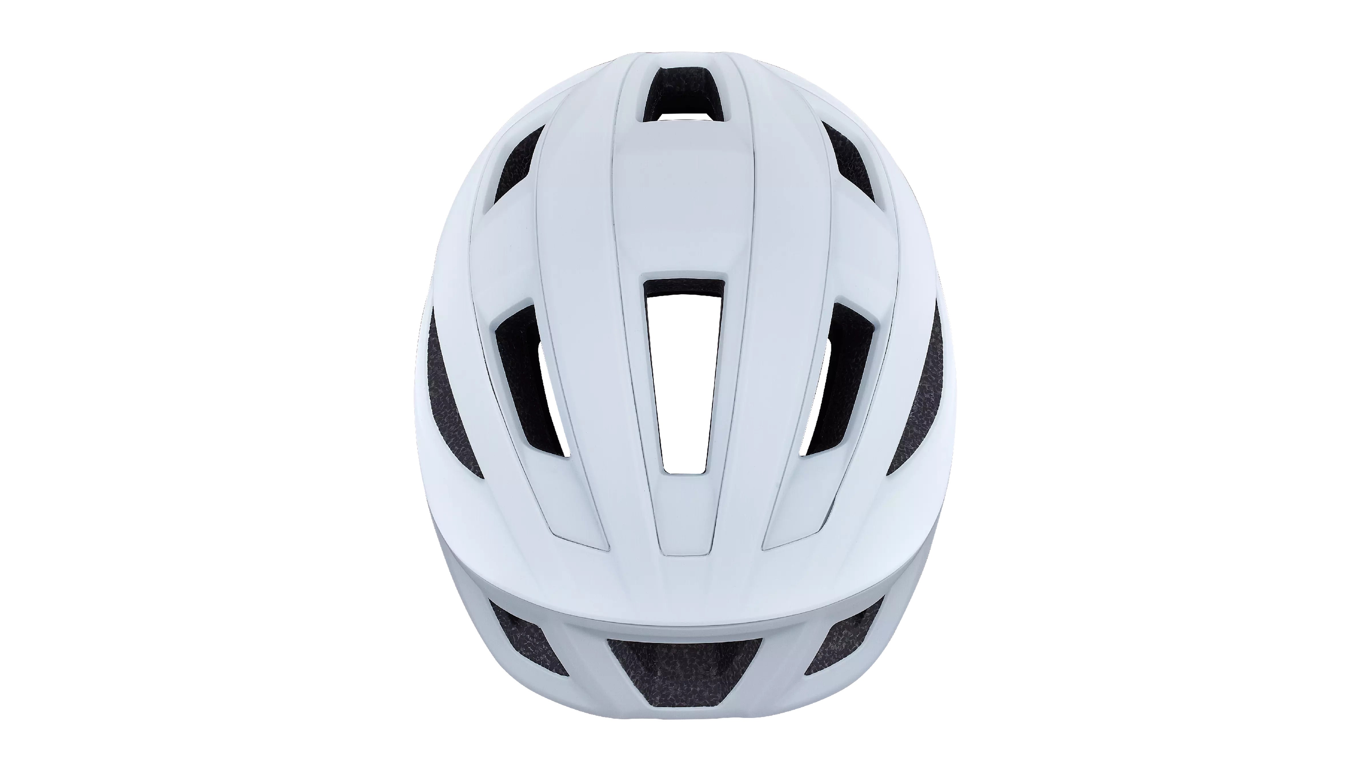 Search Helmet