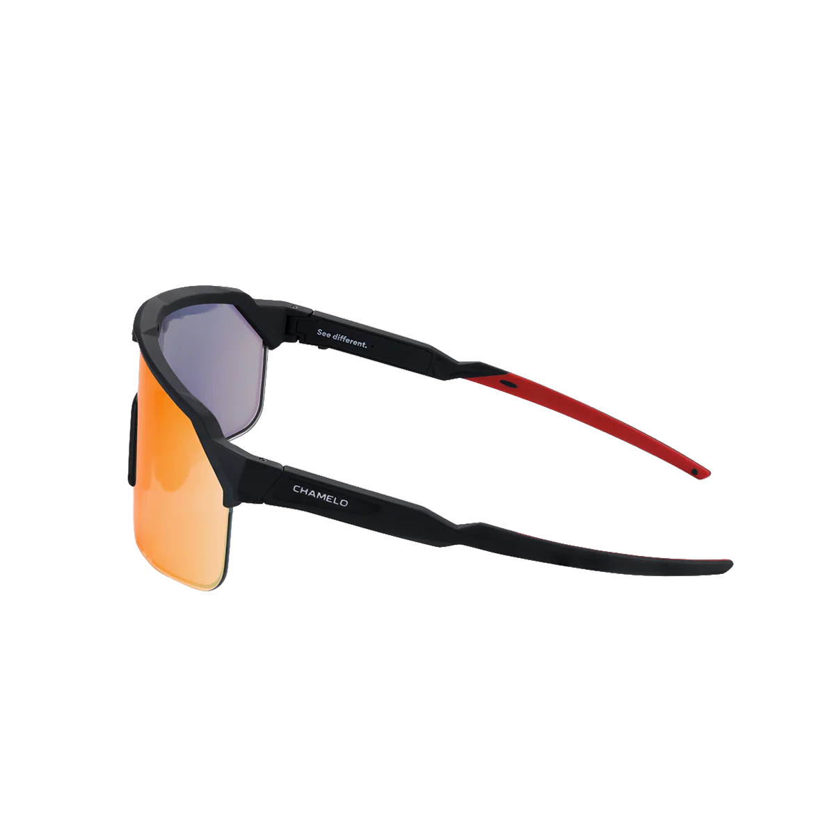 Shield Sunglasses