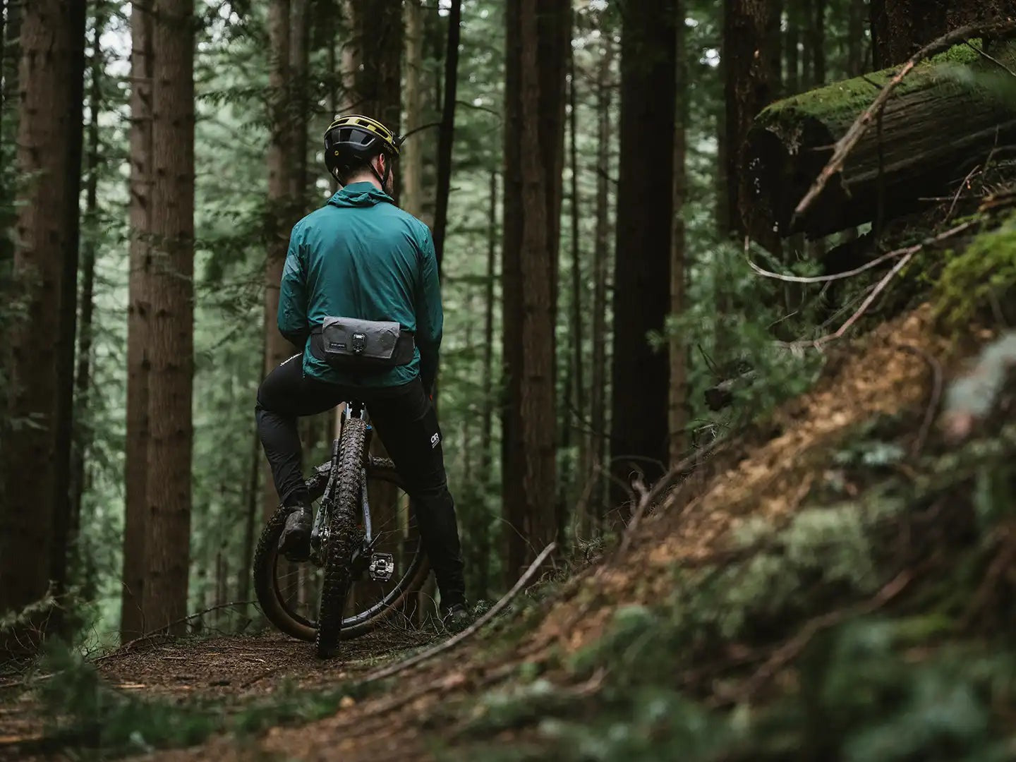 Venture 3D 2.5L Hip Pack
