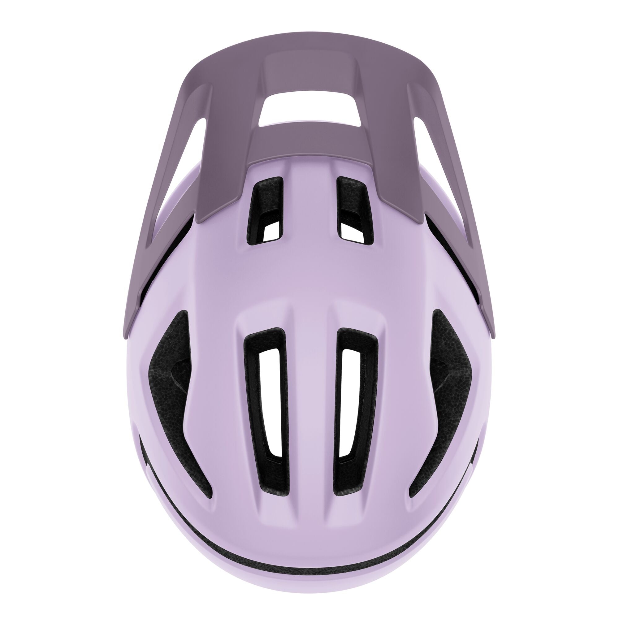 Pilot MIPS Helmet