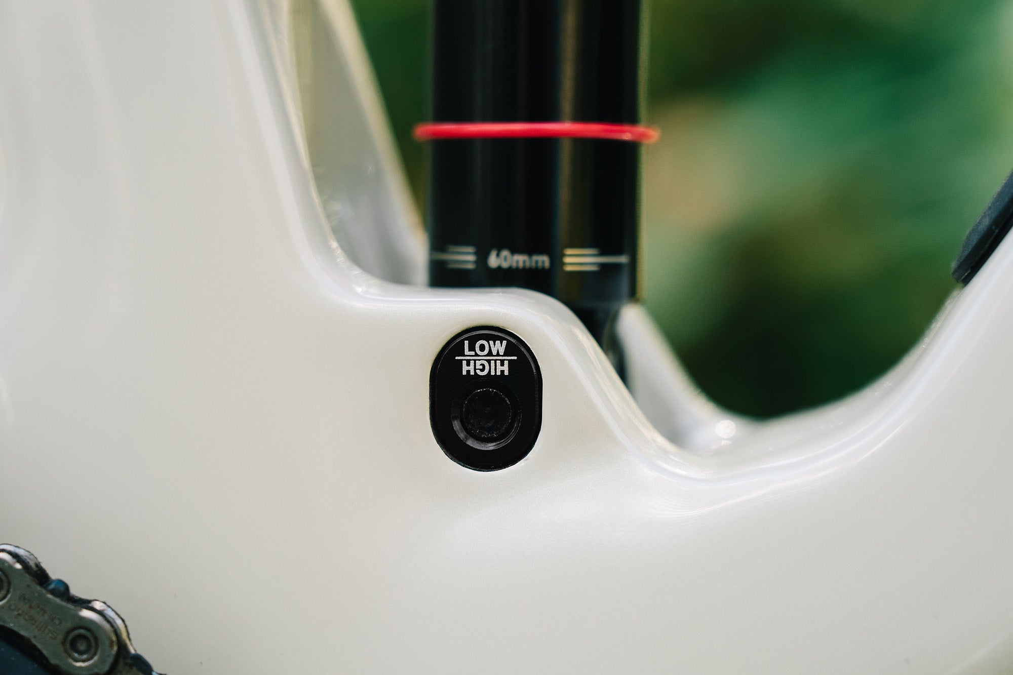 Sentinel Carbon Frame - 2025