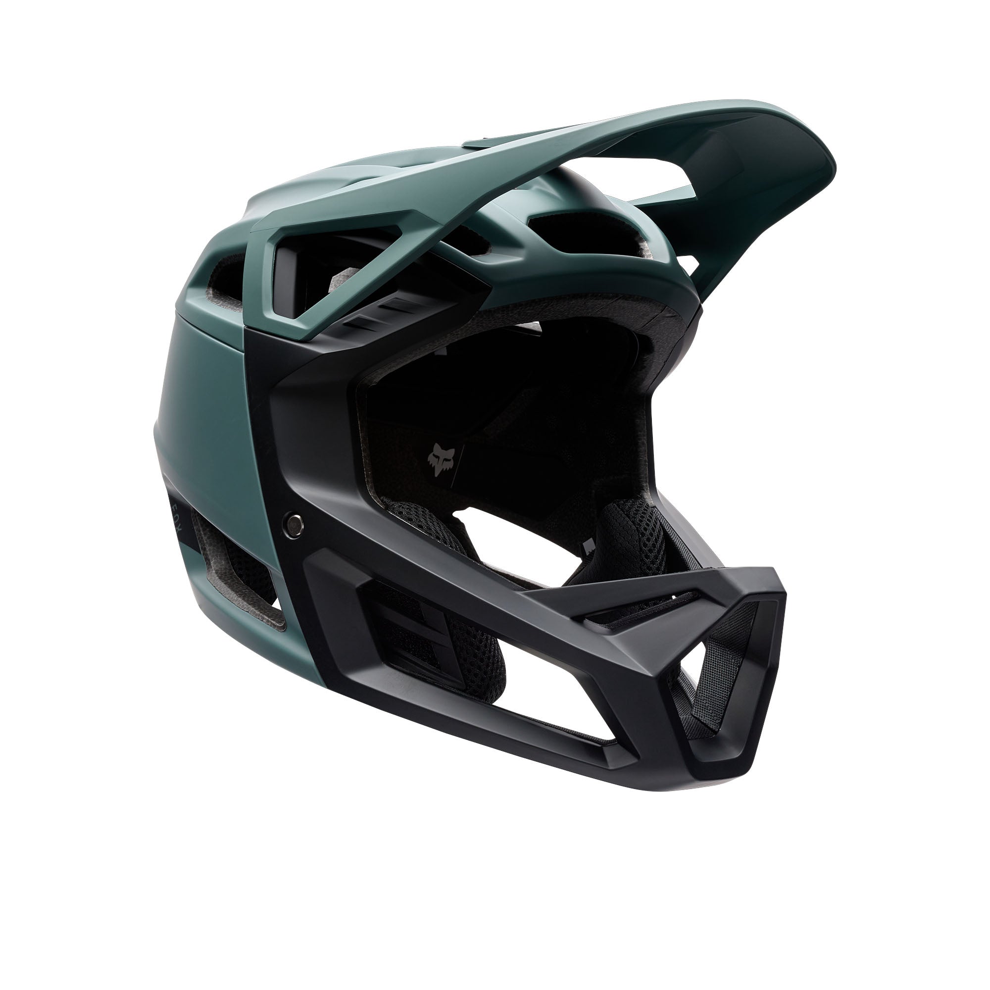 Proframe Helmet