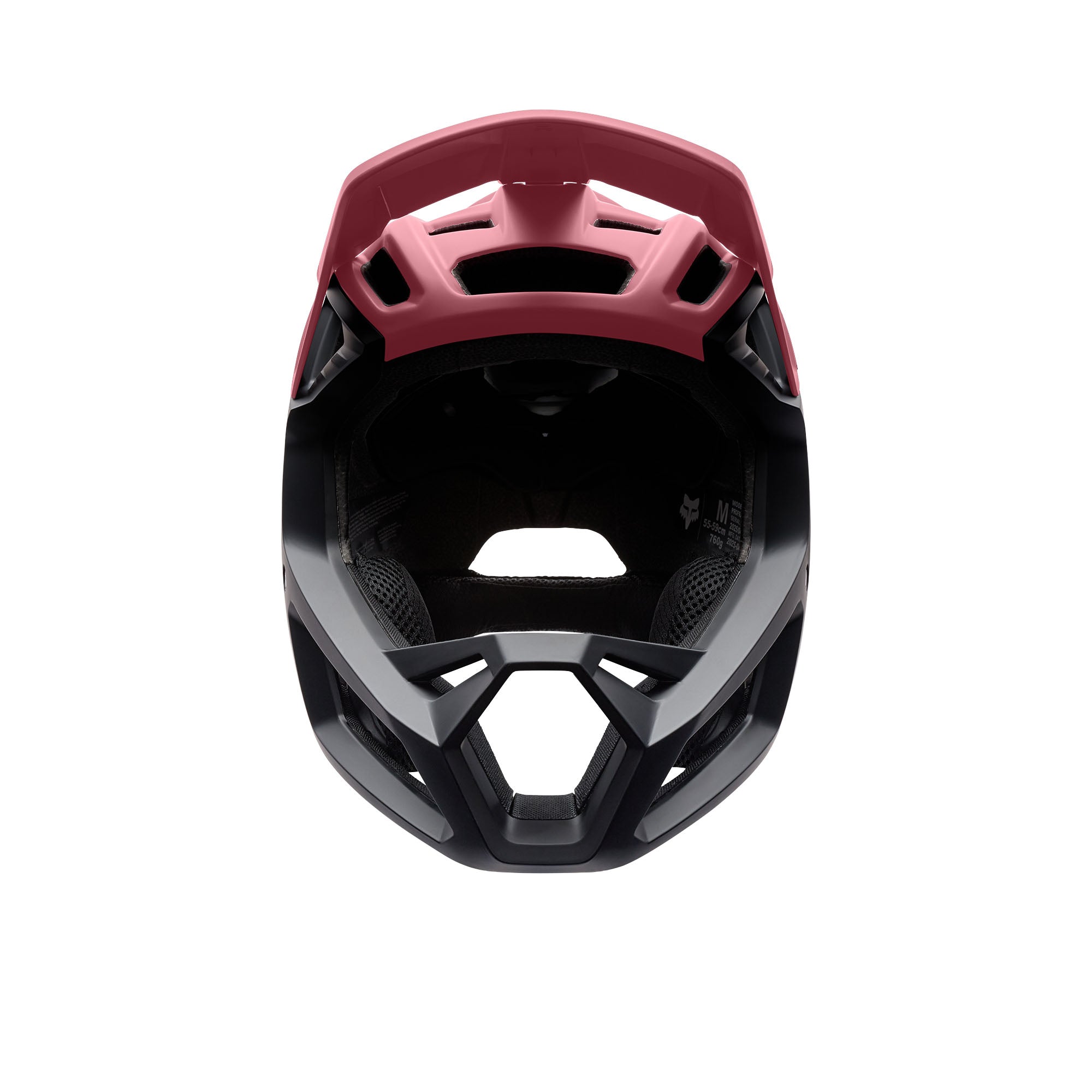 Proframe Helmet