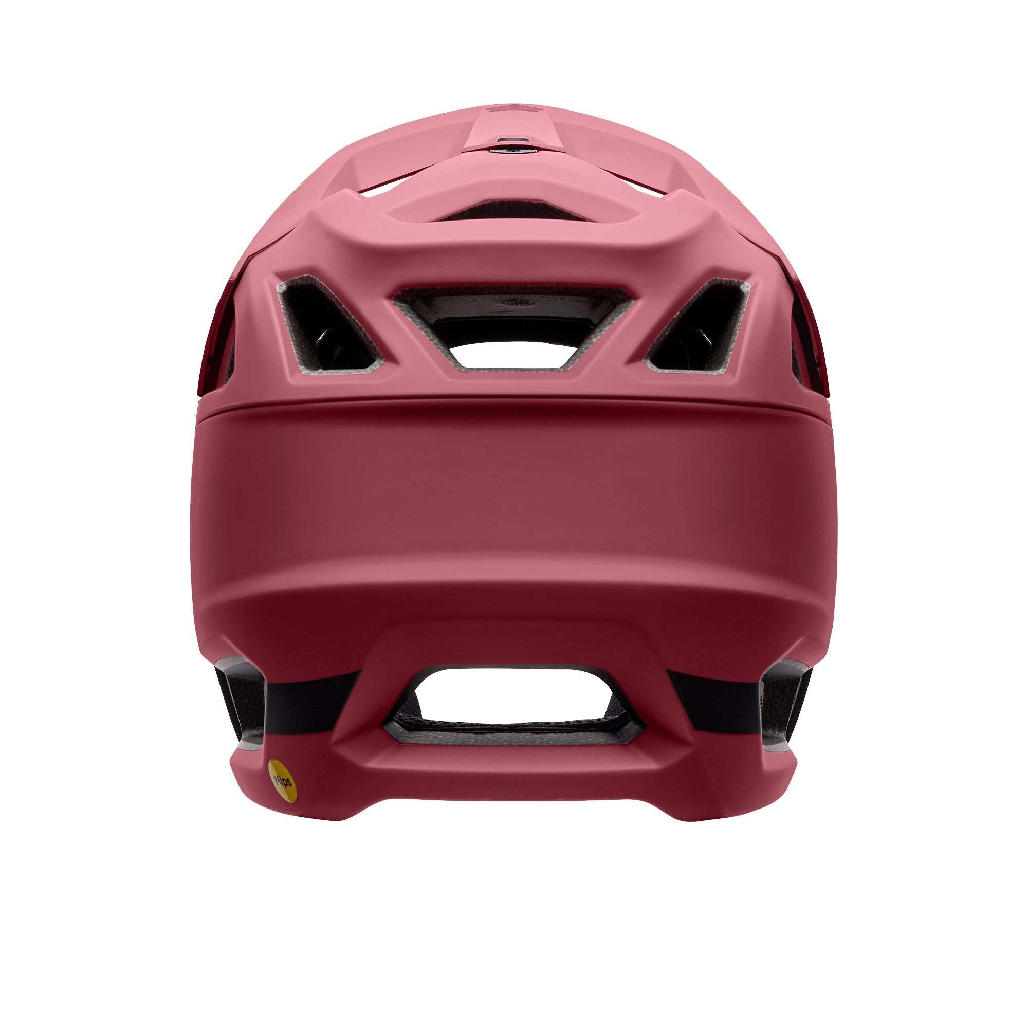 Proframe Helmet