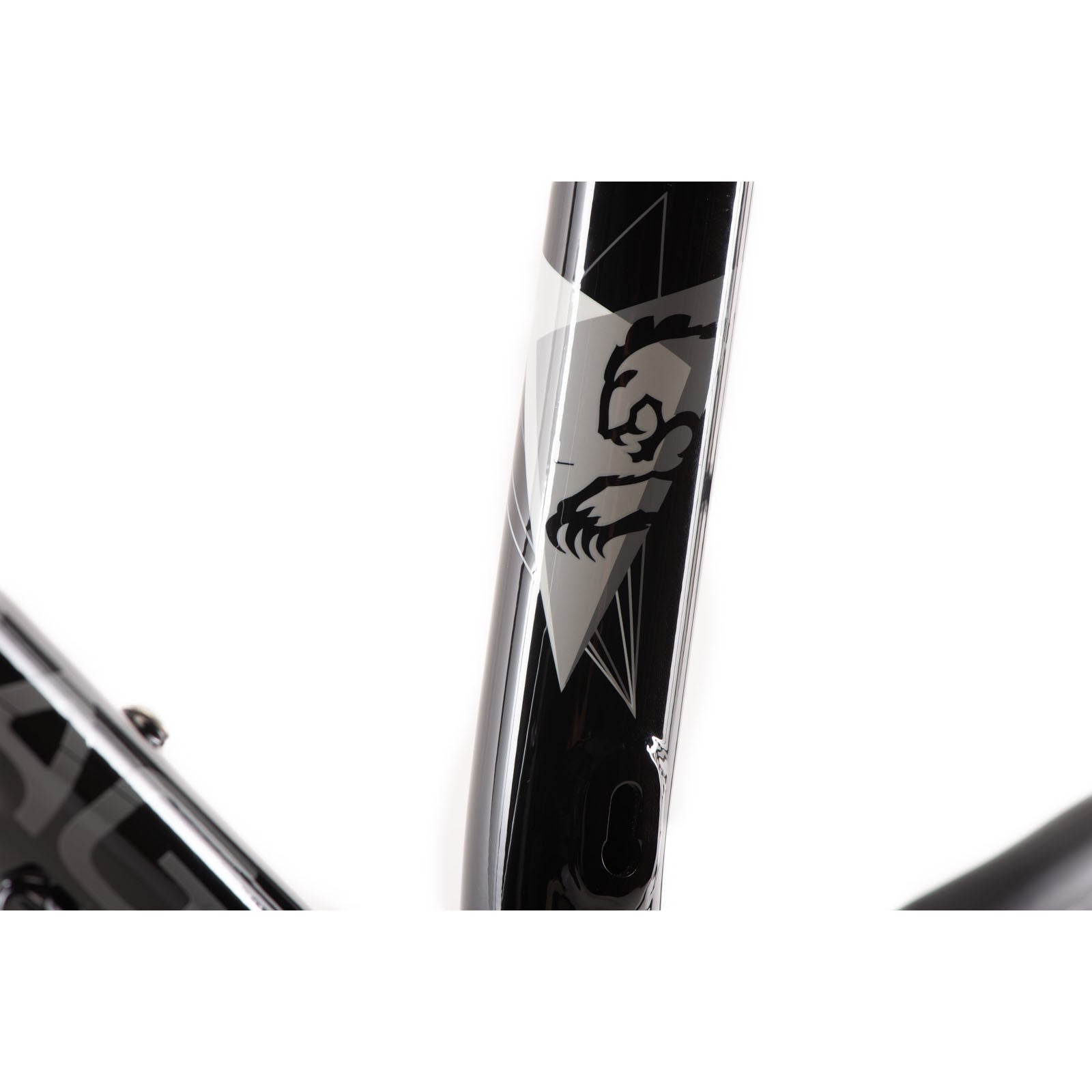 Rootdown (Series VI) Frame - 2025