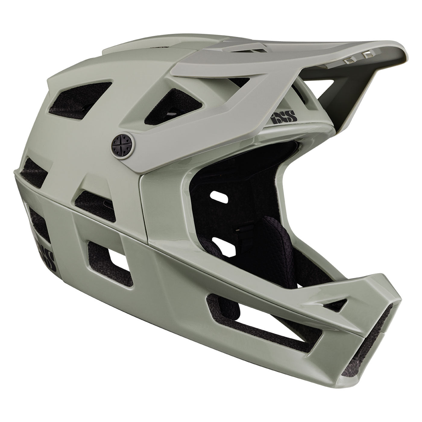 Trigger FF MIPS Helmet