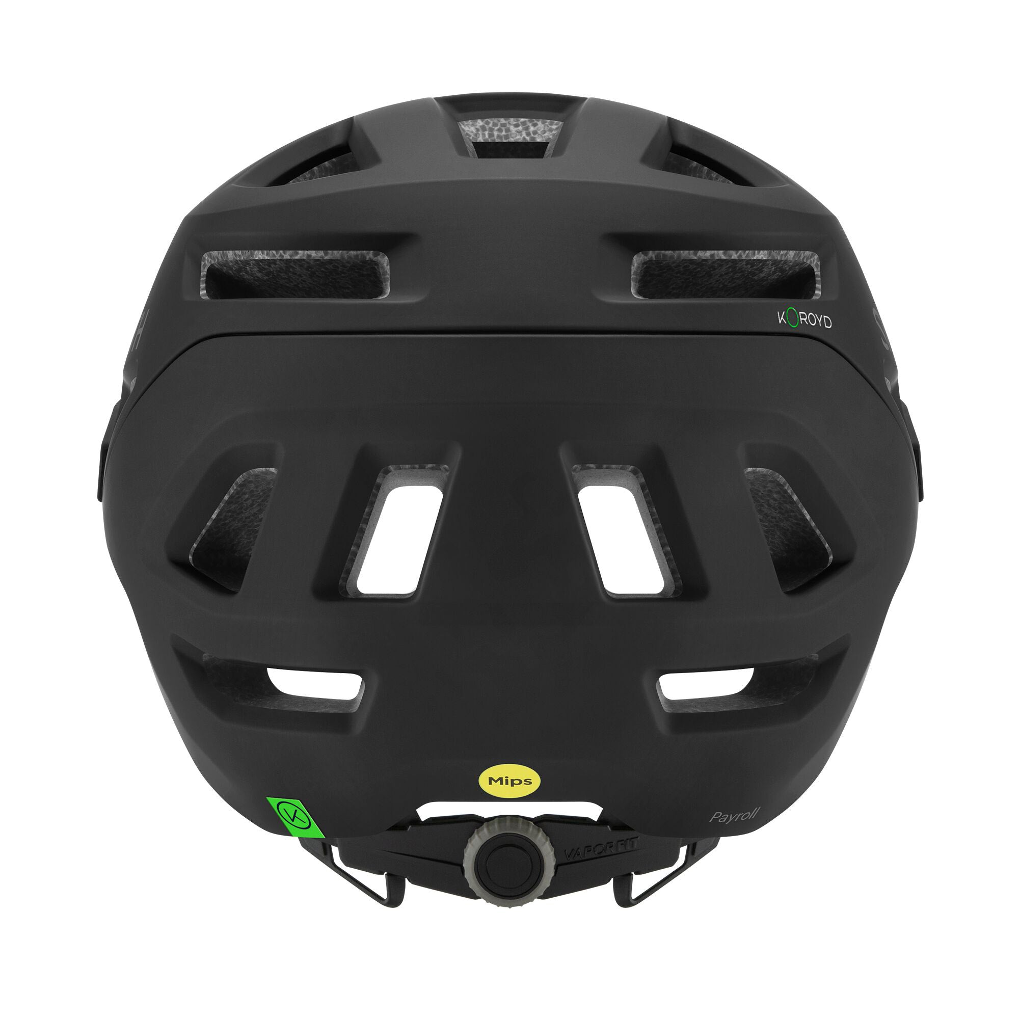 Payroll MIPS Helmet