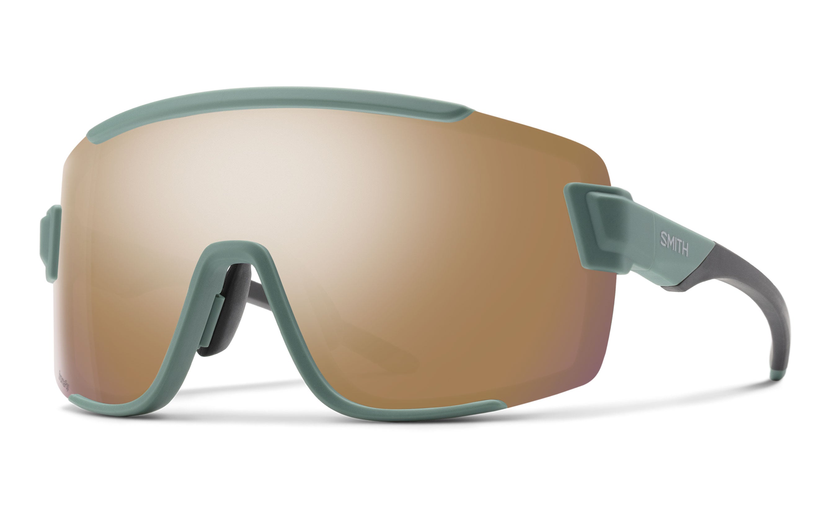 Wildcat Sunglasses