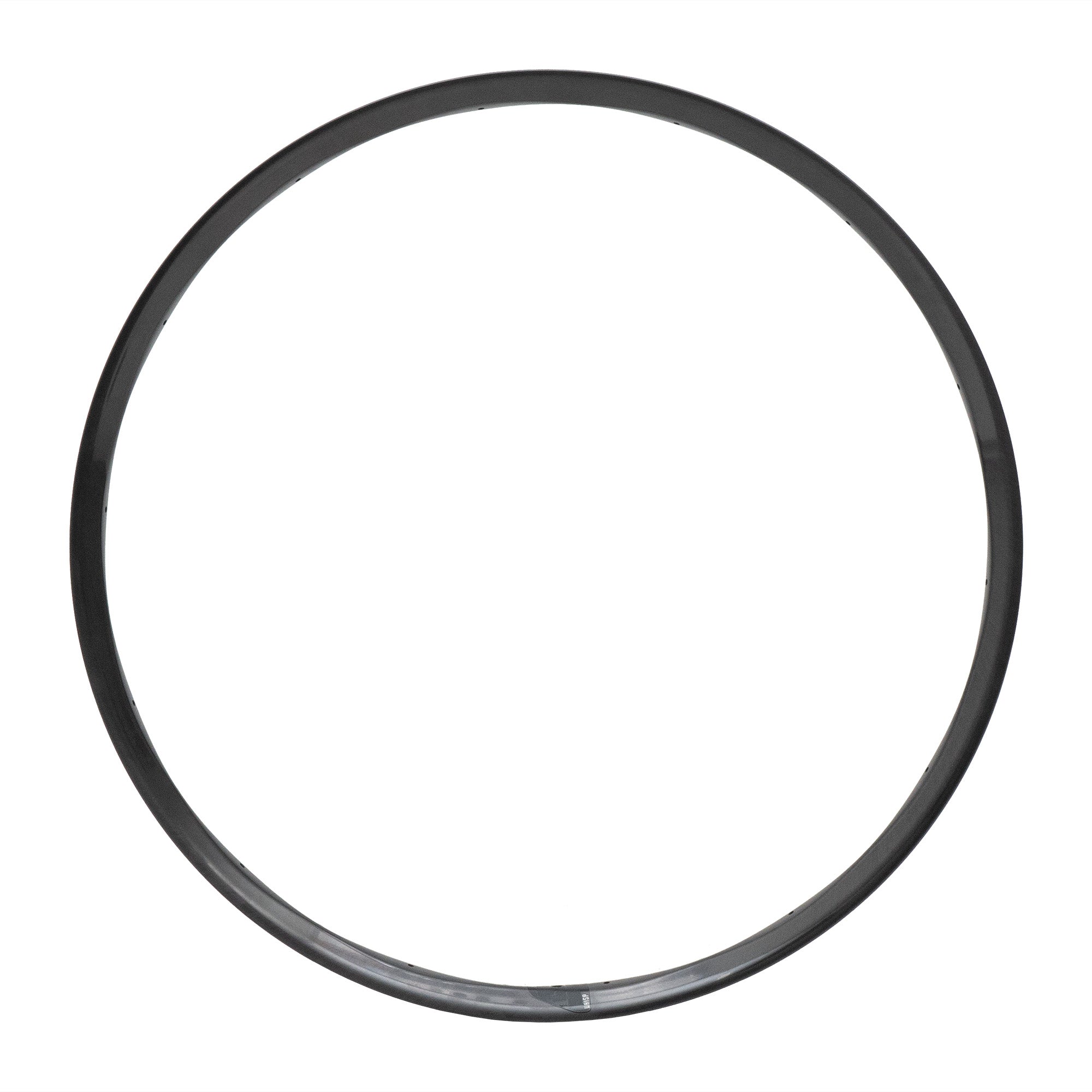 Whisp 29" Carbon 28H Rim