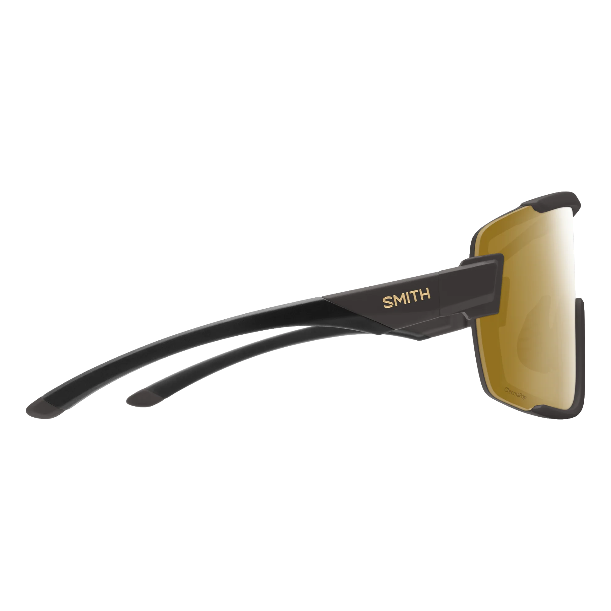 Wildcat Sunglasses
