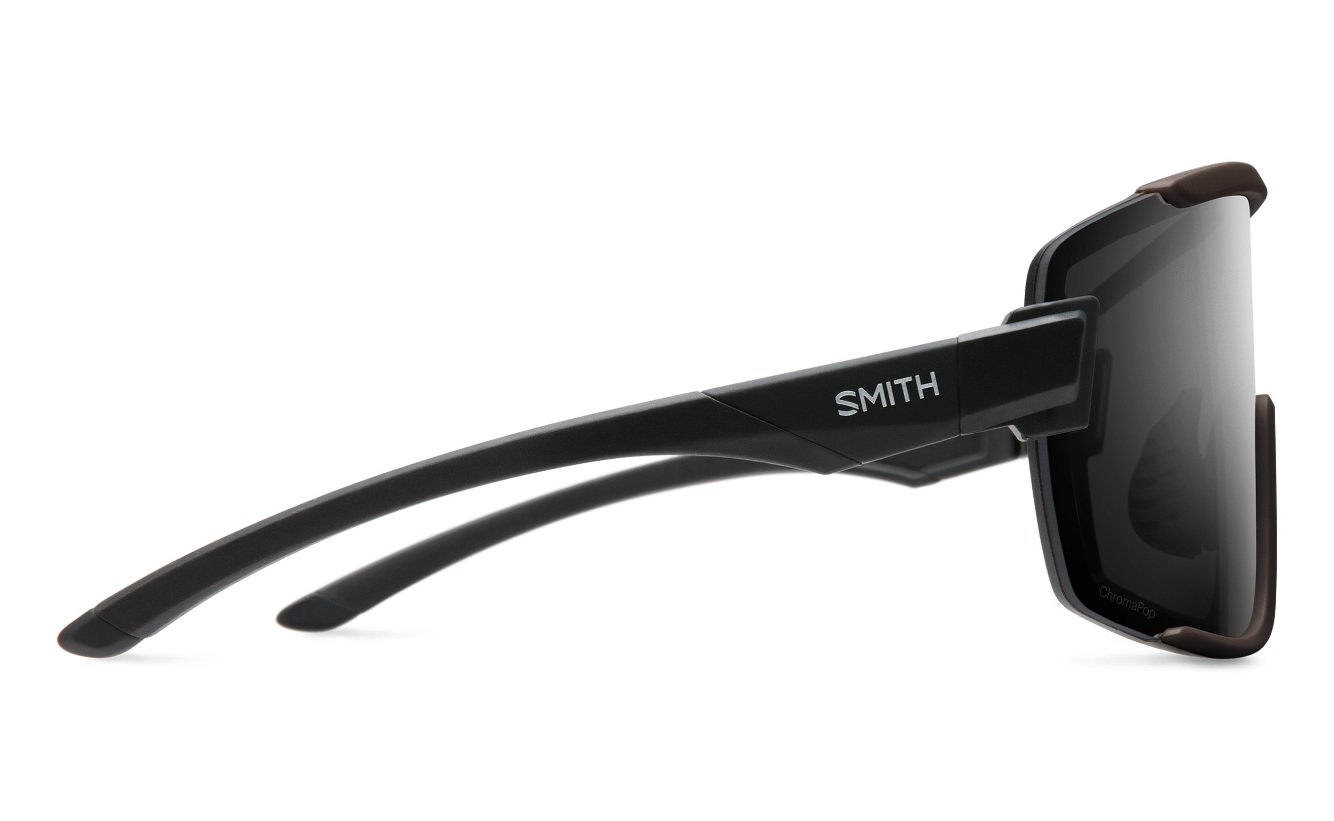 Wildcat Sunglasses
