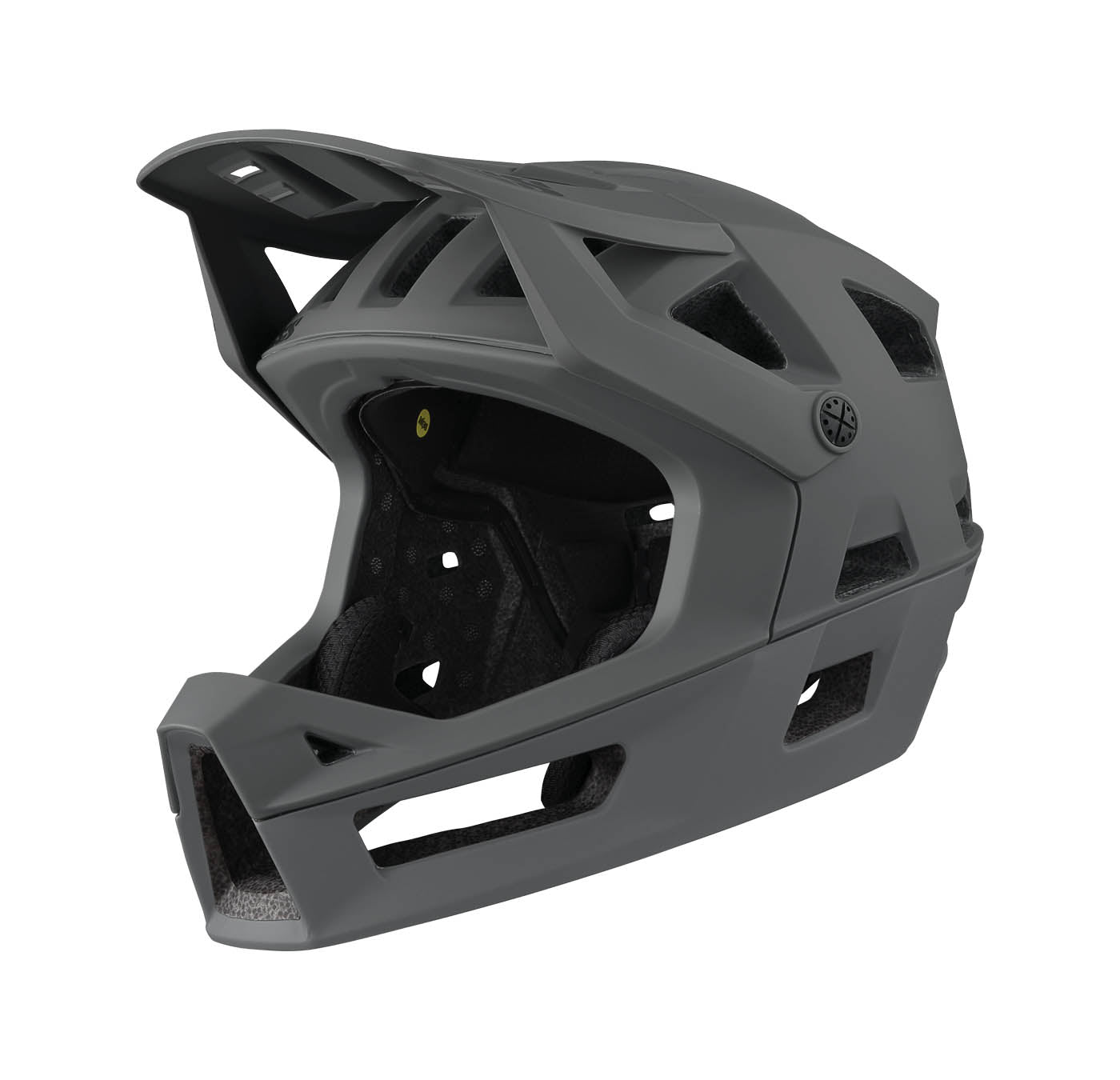 Trigger FF MIPS Helmet