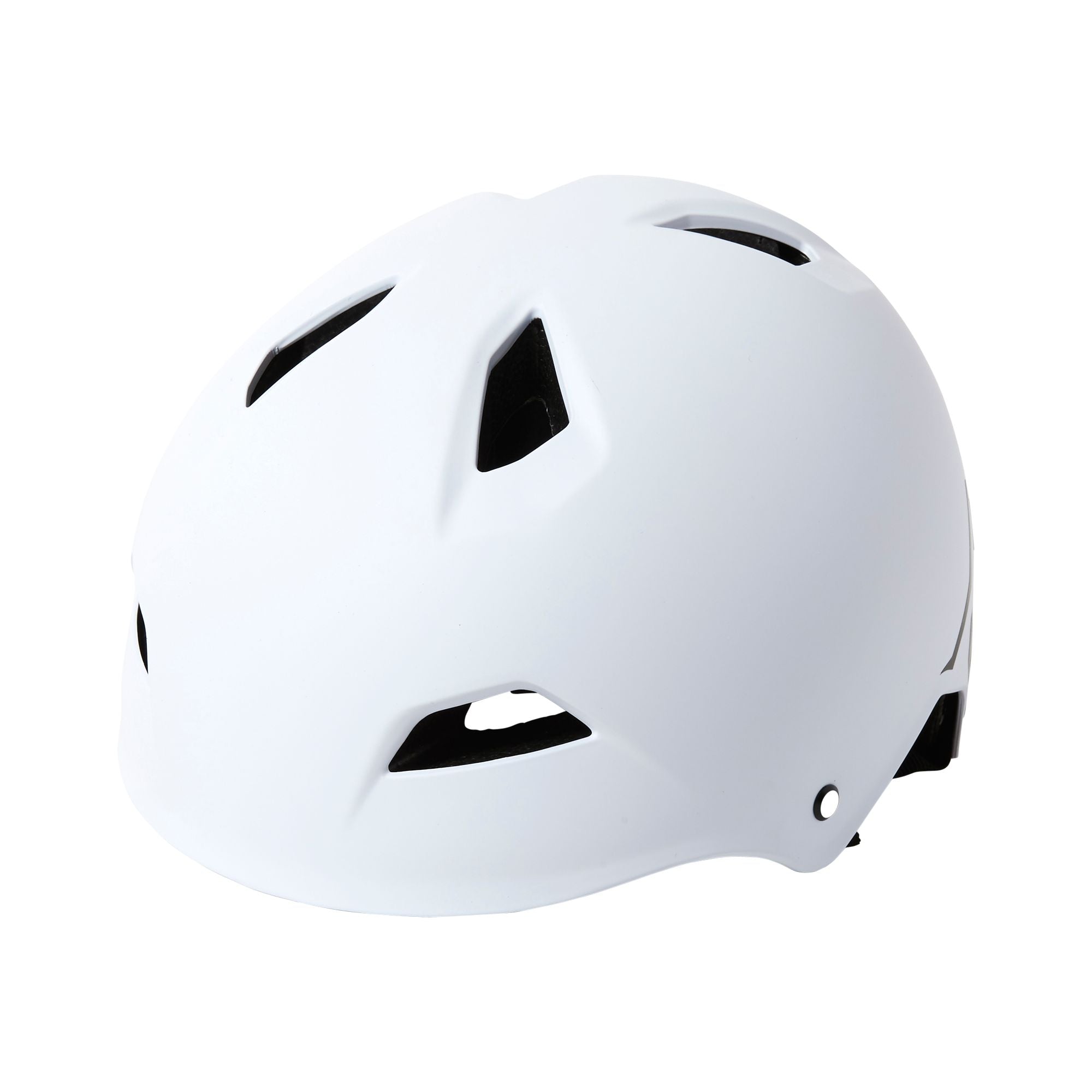 Flight Helmet