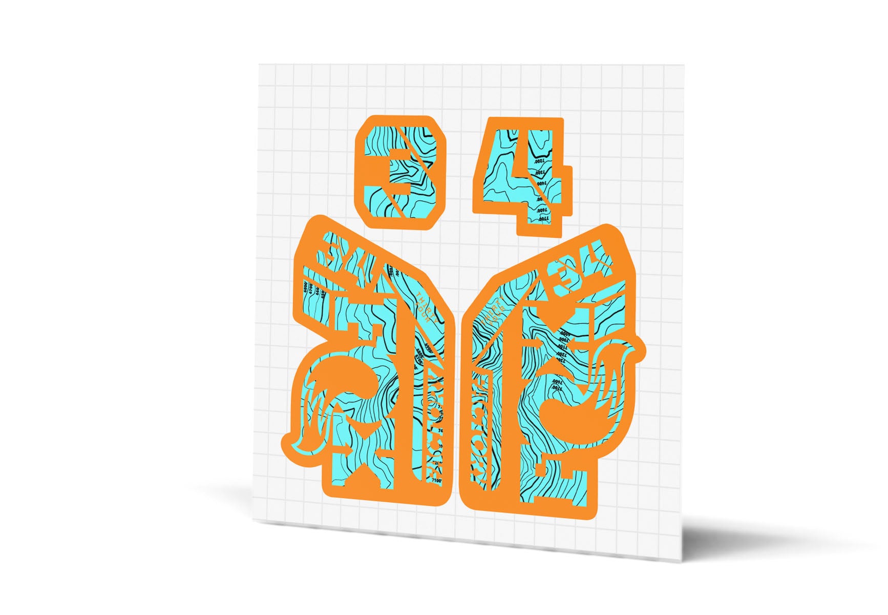 34 Factory Gloss Decals - Orange Lowers