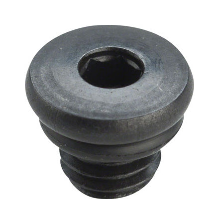 Brake Lever Bleed Screw