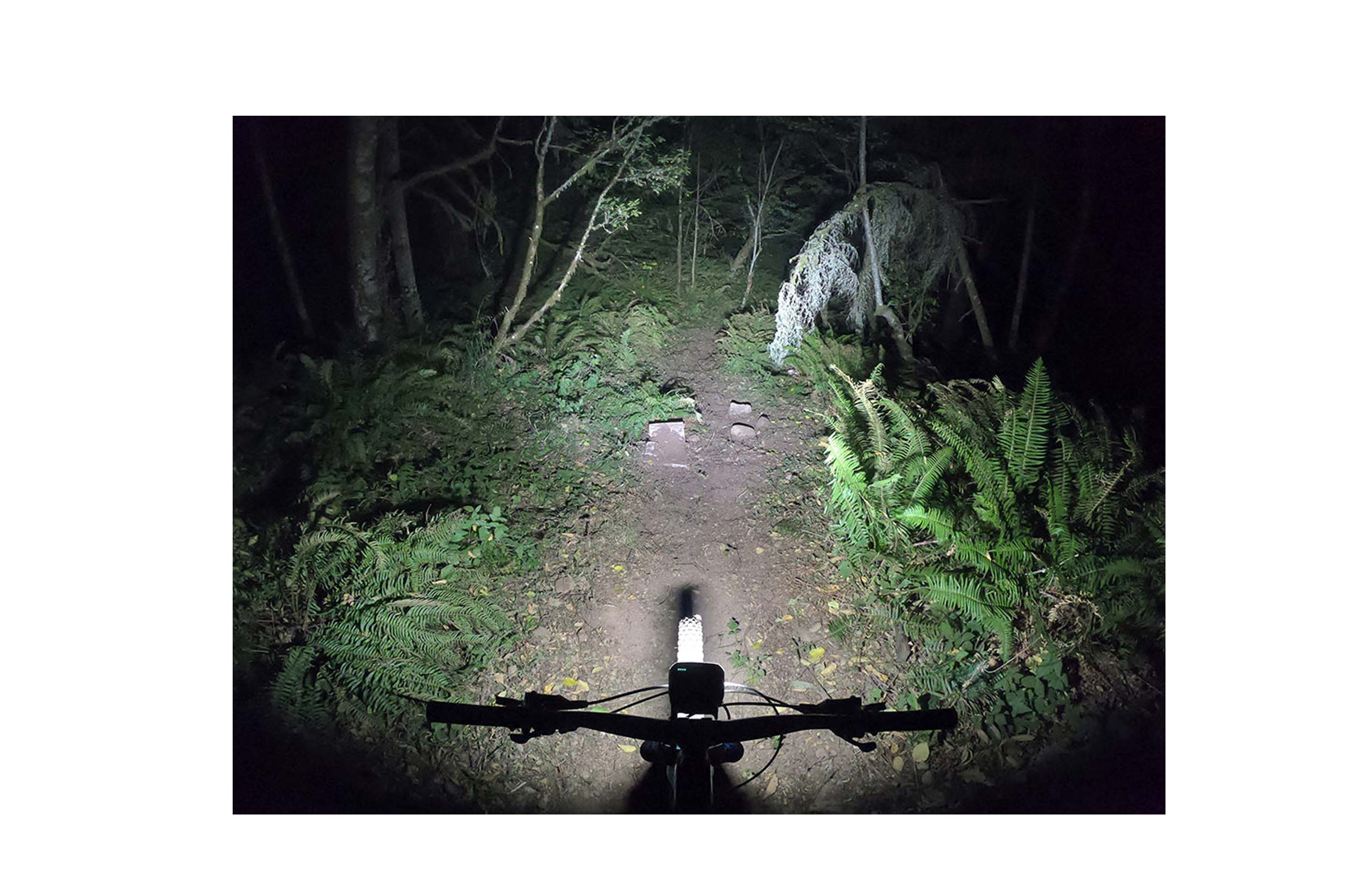 Trail Evo Handlebar Light