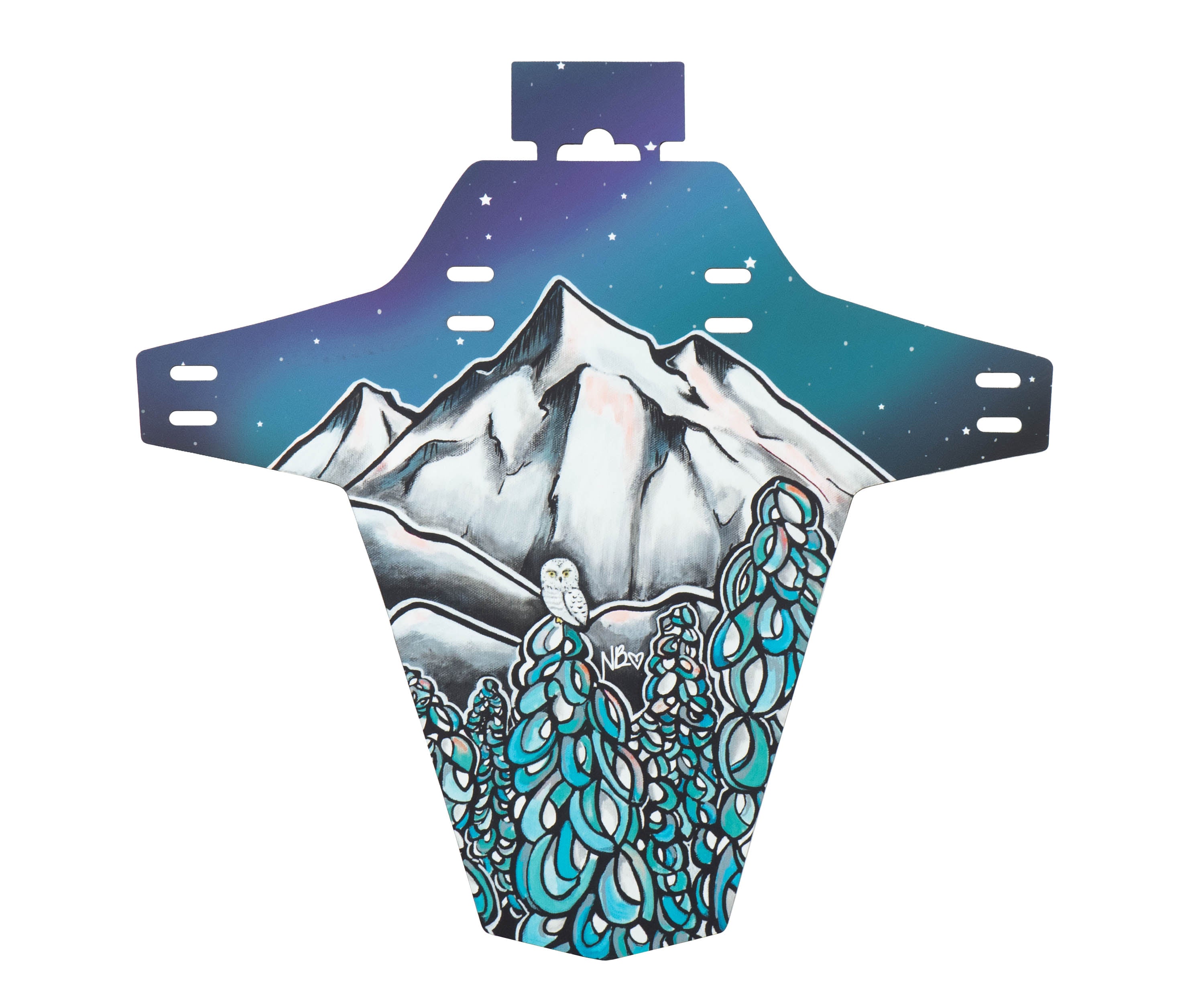 Custom Bike Fenders