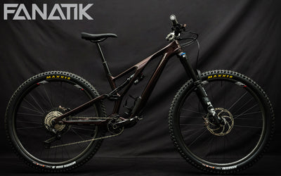 build-gallery-specialized-stumpjumper-evo-9