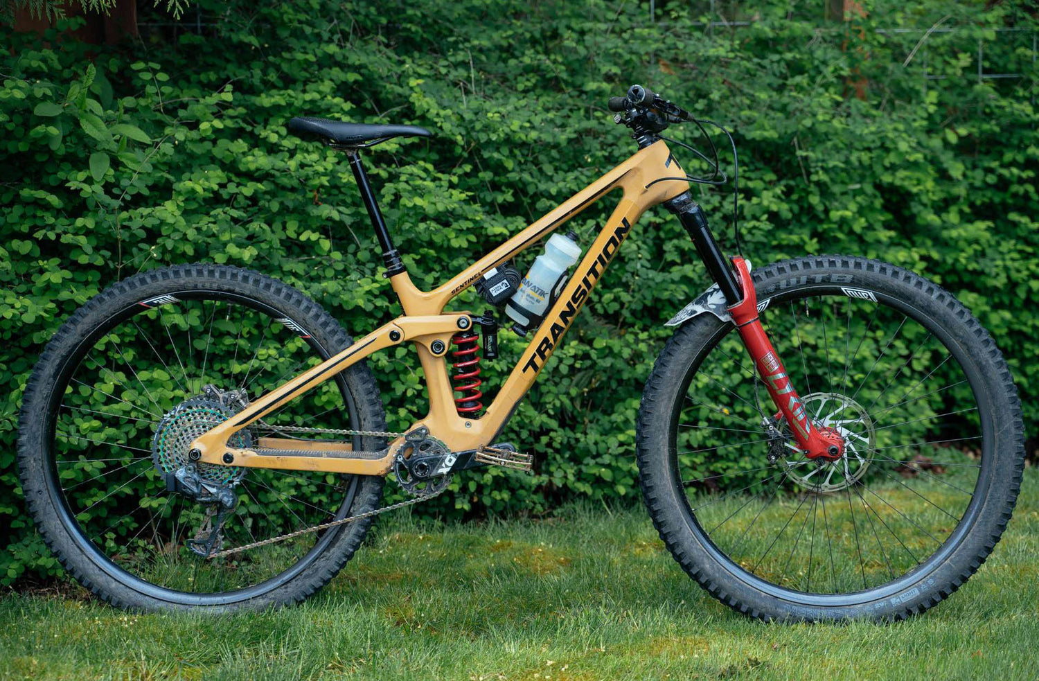 Transition: 2020 Sentinel Rundown