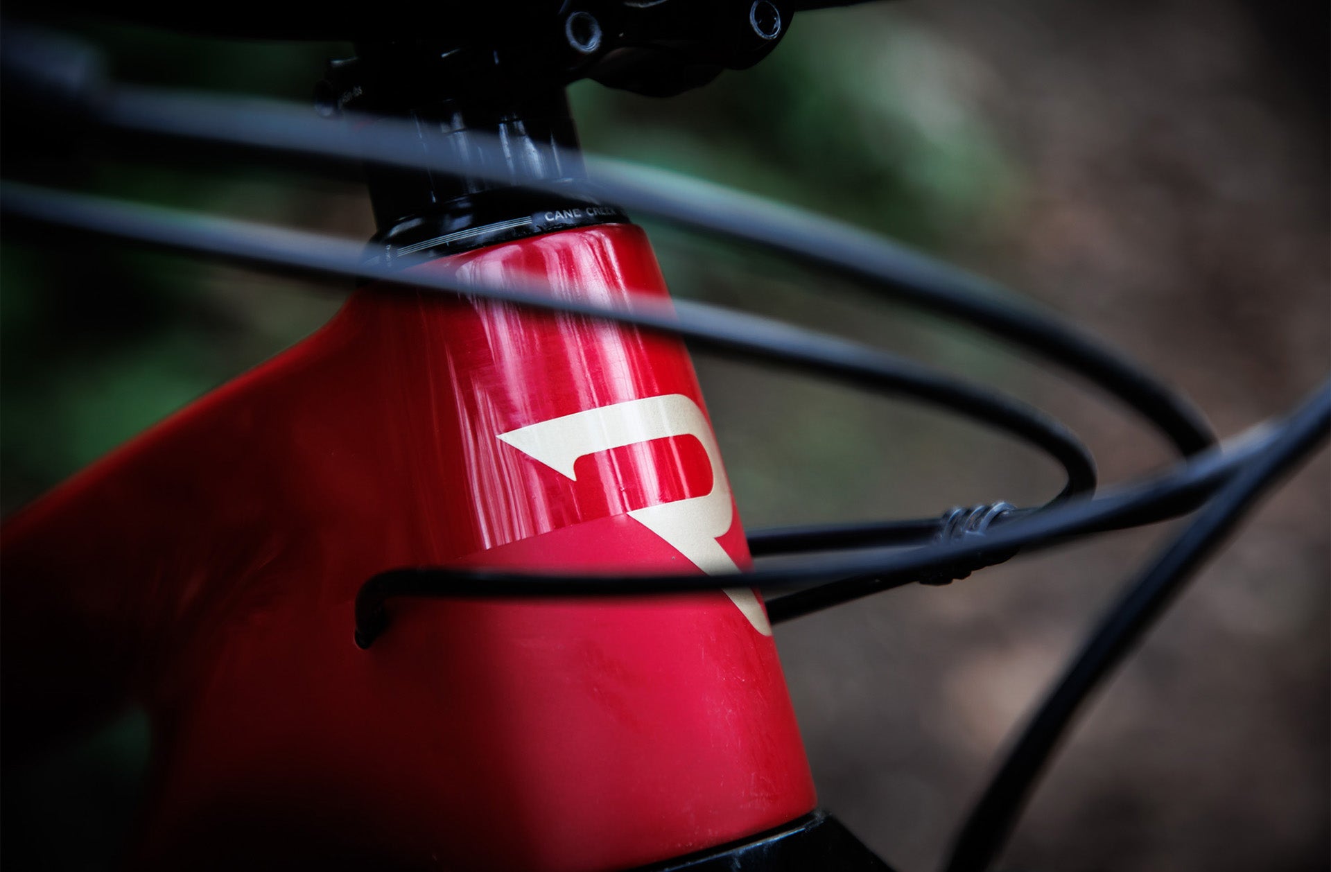 Revel Rail 29 | Ridden and Reviewed