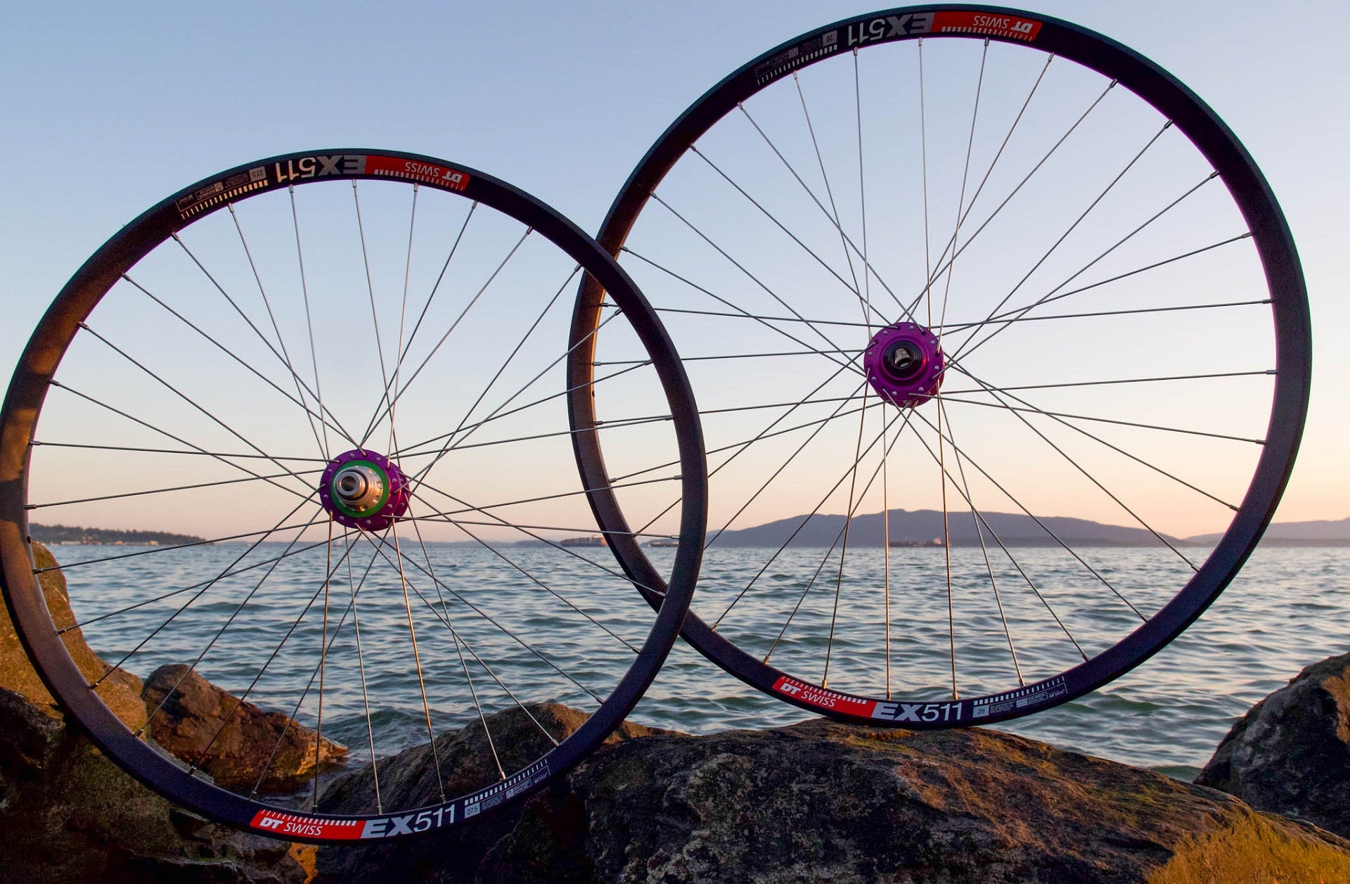 Fanatik Custom Wheel Builder // Best Performance VS Cost Build