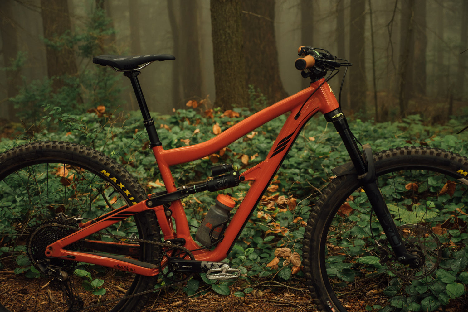 Ibis: Ripmo AF Review
