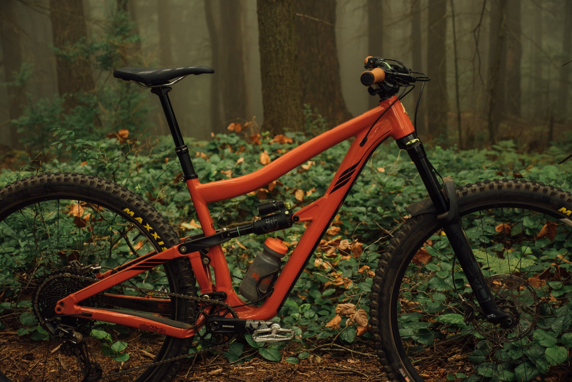 Ibis: Ripmo AF Review