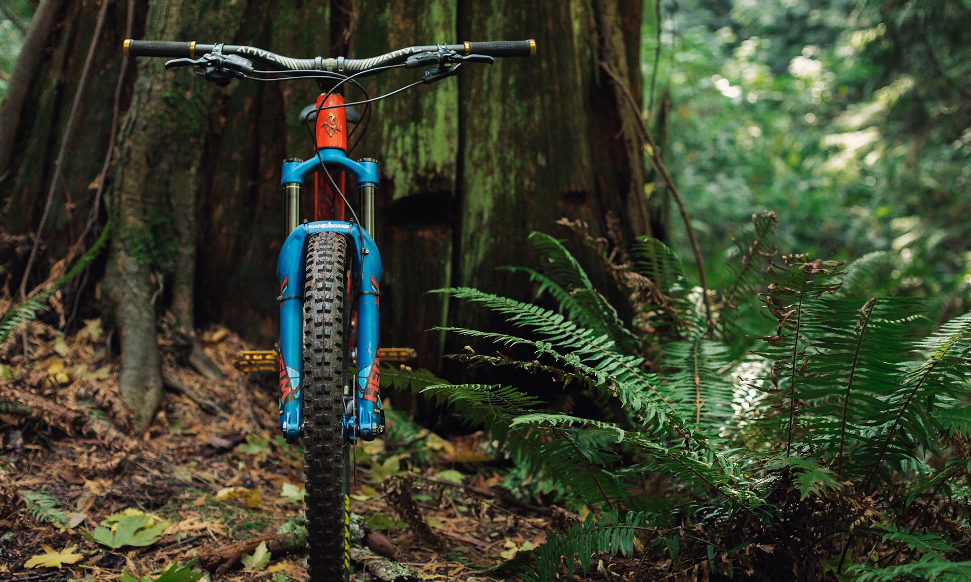 Cane Creek Helm Fork - Reviewed