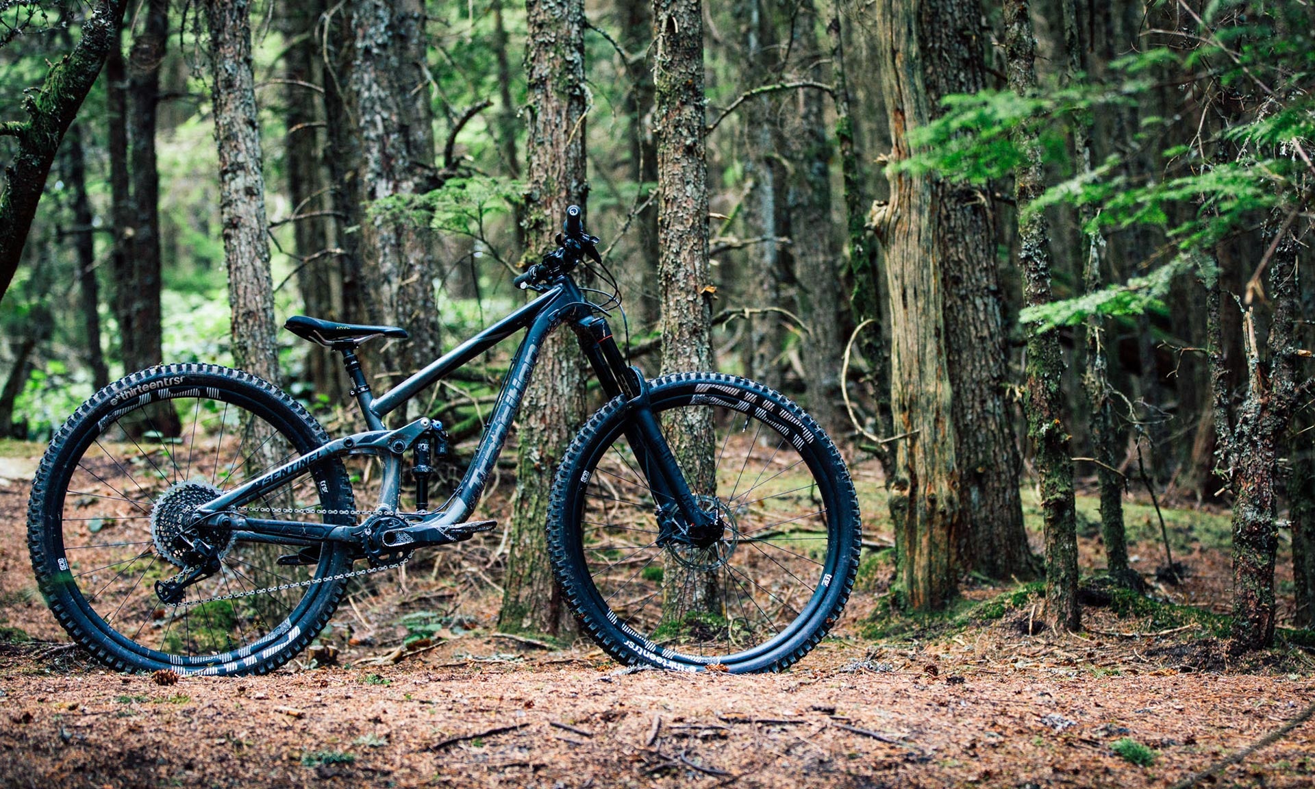Transition Sentinel - Reviewed