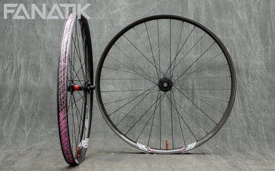 wheel-build-gallery-we-are-one-union-dt-swiss-240-exp-custom-wheelset-1