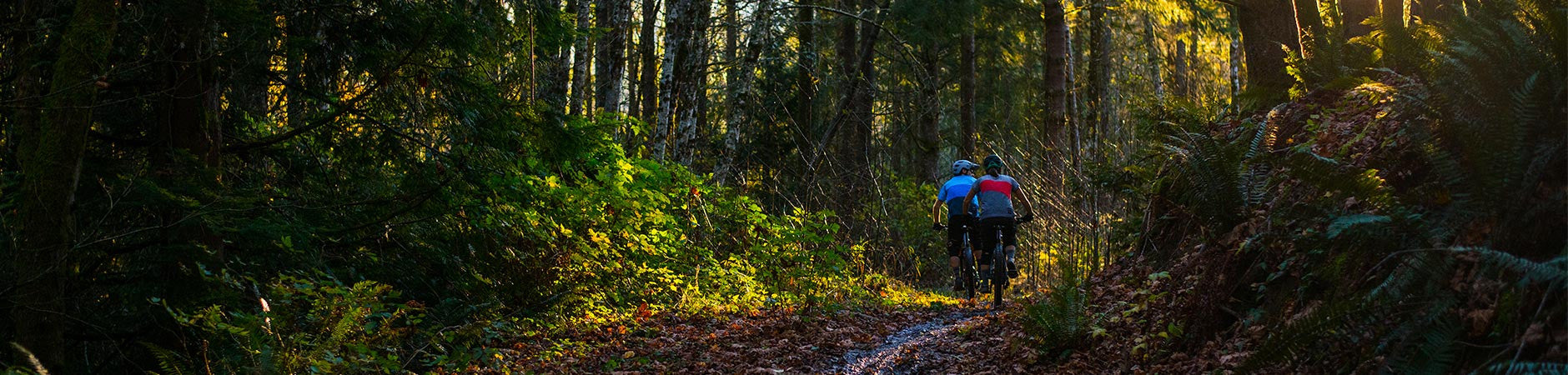 Mountain Bikes