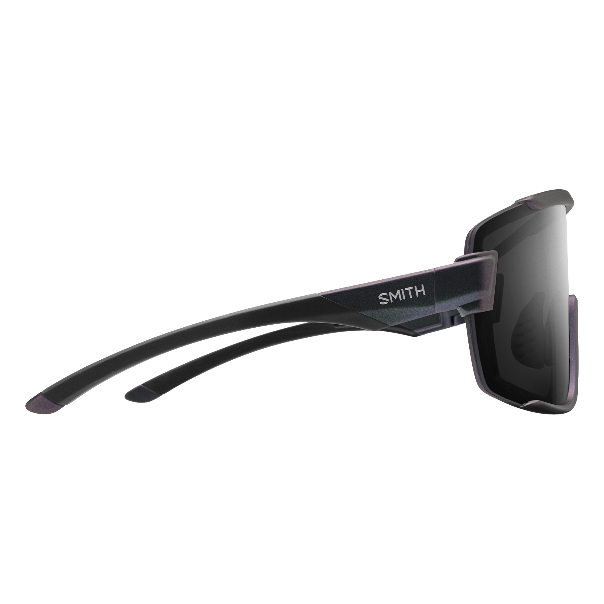 Wildcat Sunglasses