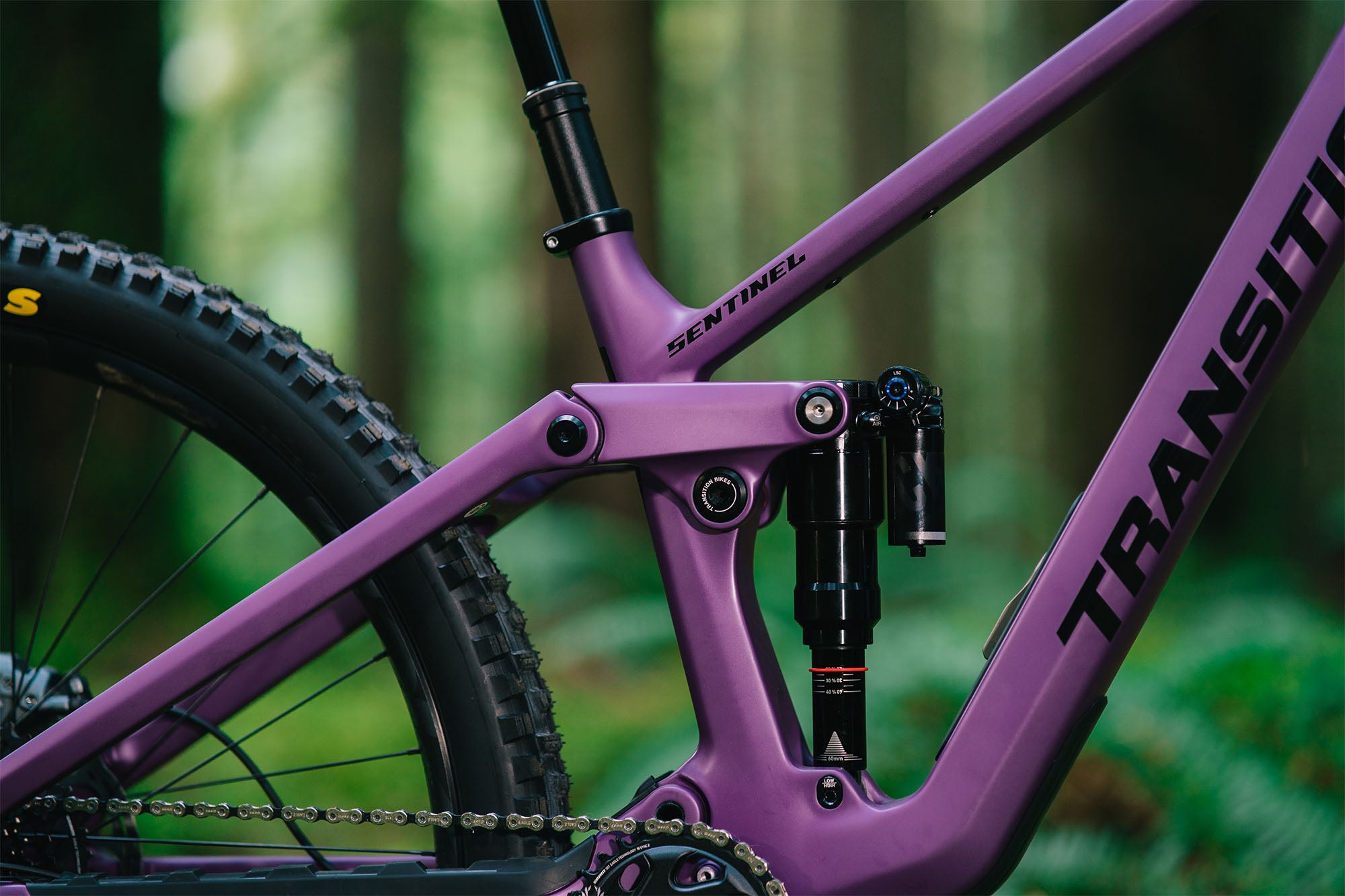 Sentinel Carbon Frame - 2025