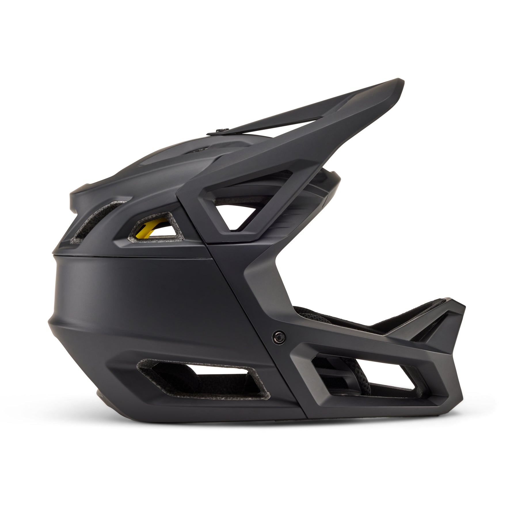 Proframe Helmet