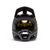 Proframe Helmet