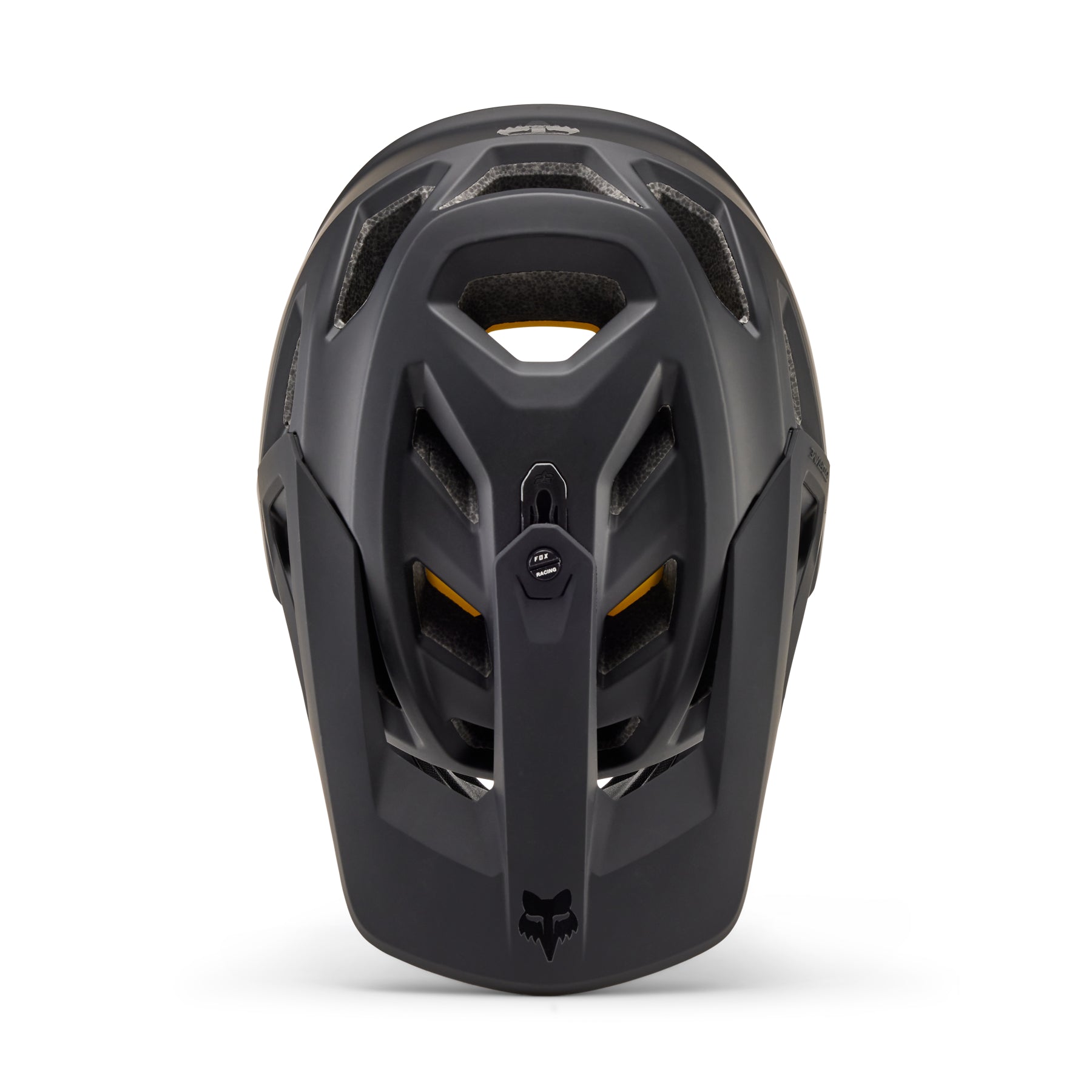 Proframe Helmet