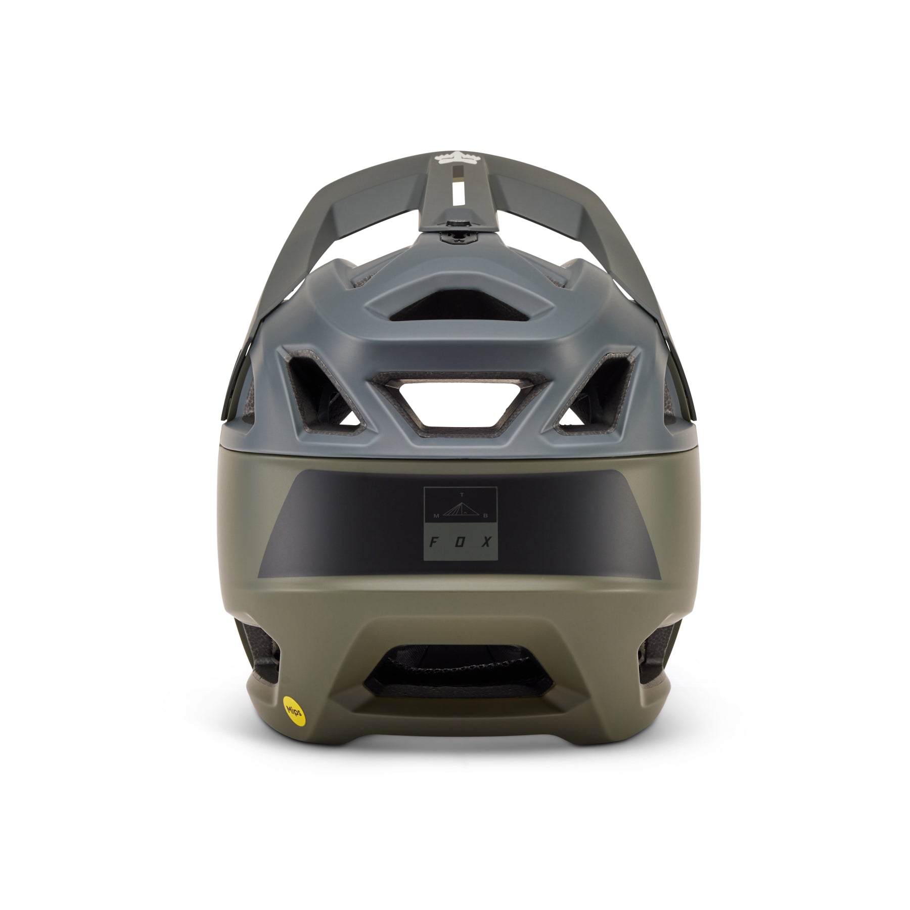Proframe Helmet