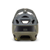 Proframe Helmet